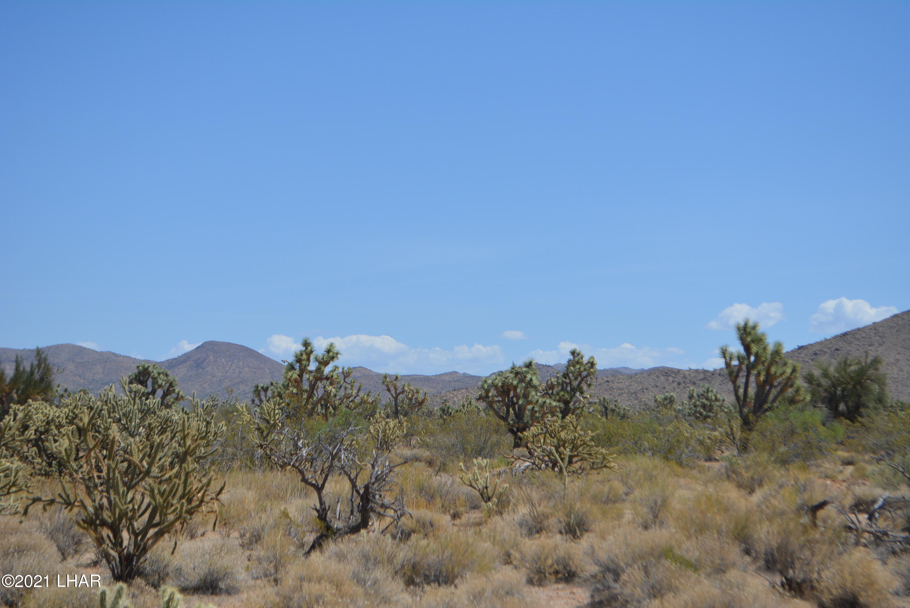 2089 South Roadrunner Road Yucca, AZ 86438 - Photo 28 of 60 DSC_0314