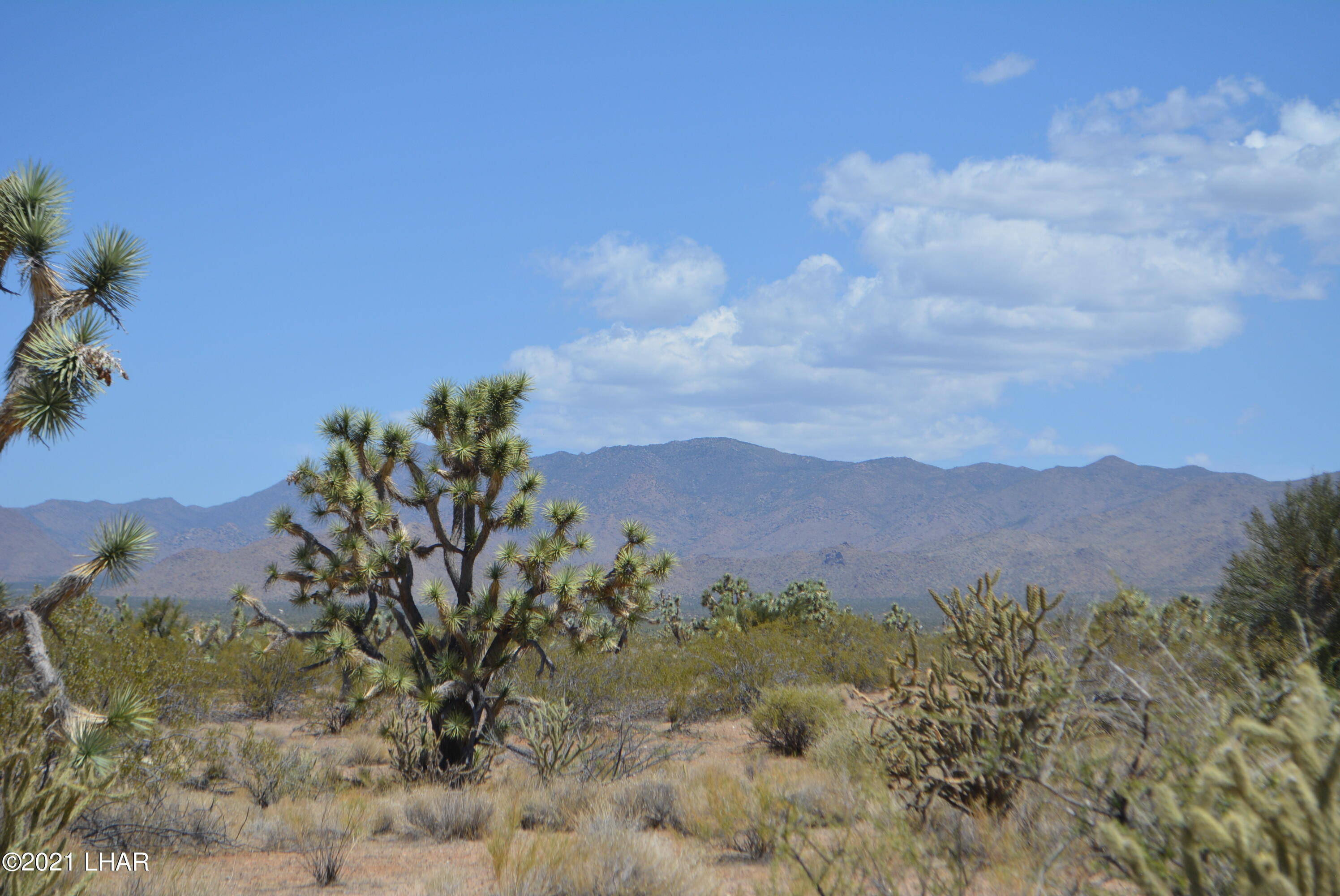 2089 South Roadrunner Road Yucca, AZ 86438 - Photo 29 of 60 DSC_0315