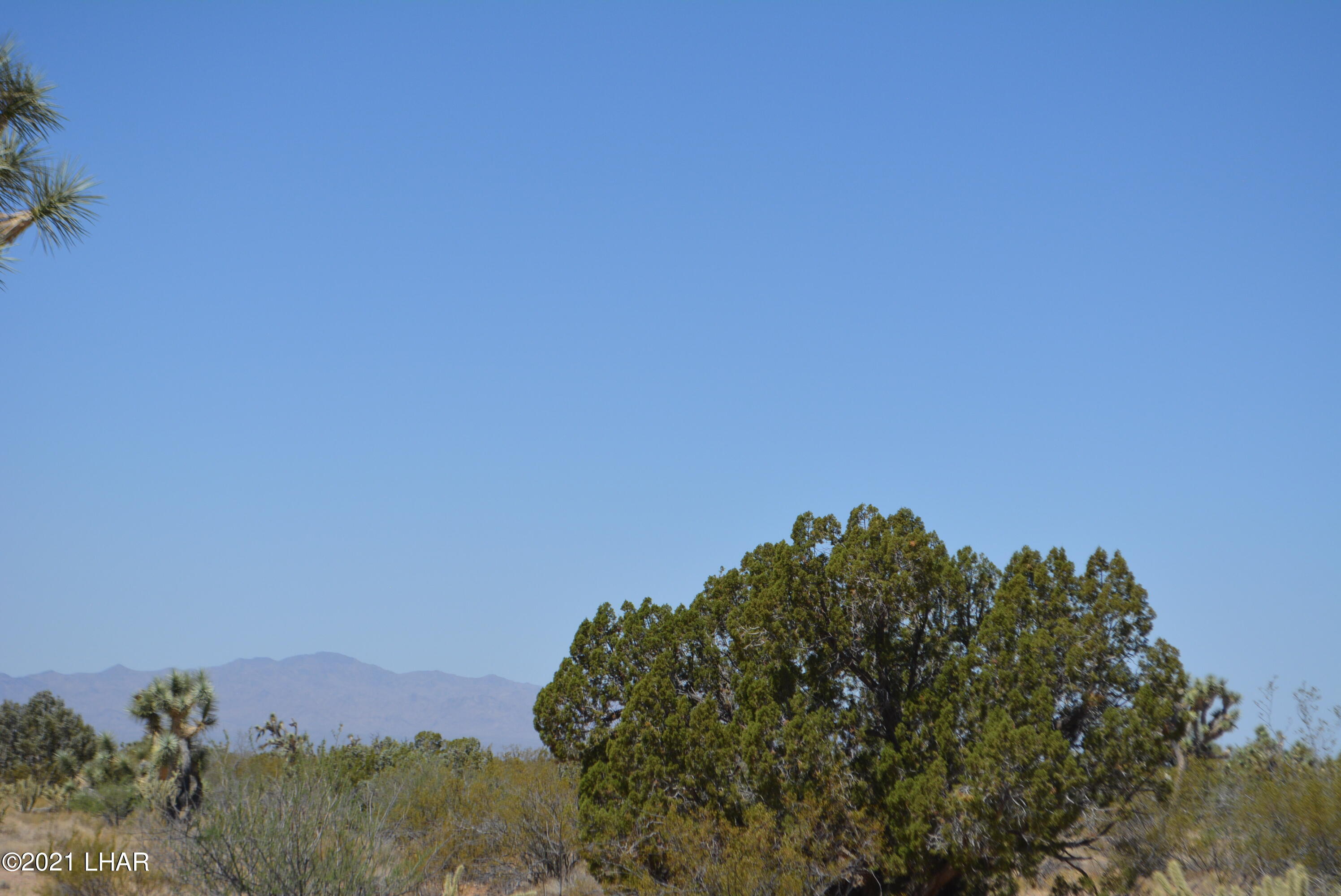 2089 South Roadrunner Road Yucca, AZ 86438 - Photo 3 of 60 DSC_0288
