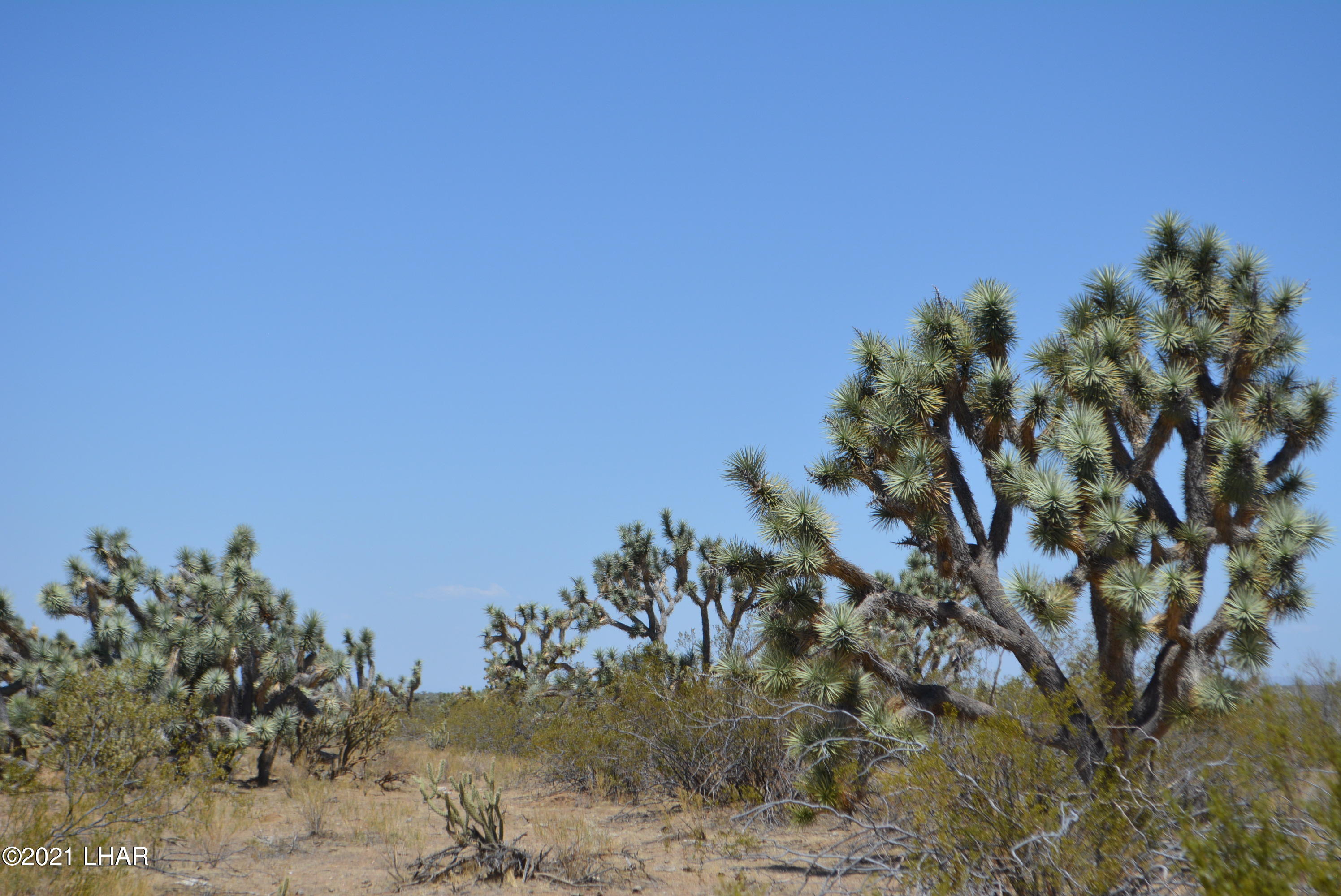 2089 South Roadrunner Road Yucca, AZ 86438 - Photo 31 of 60 DSC_0317