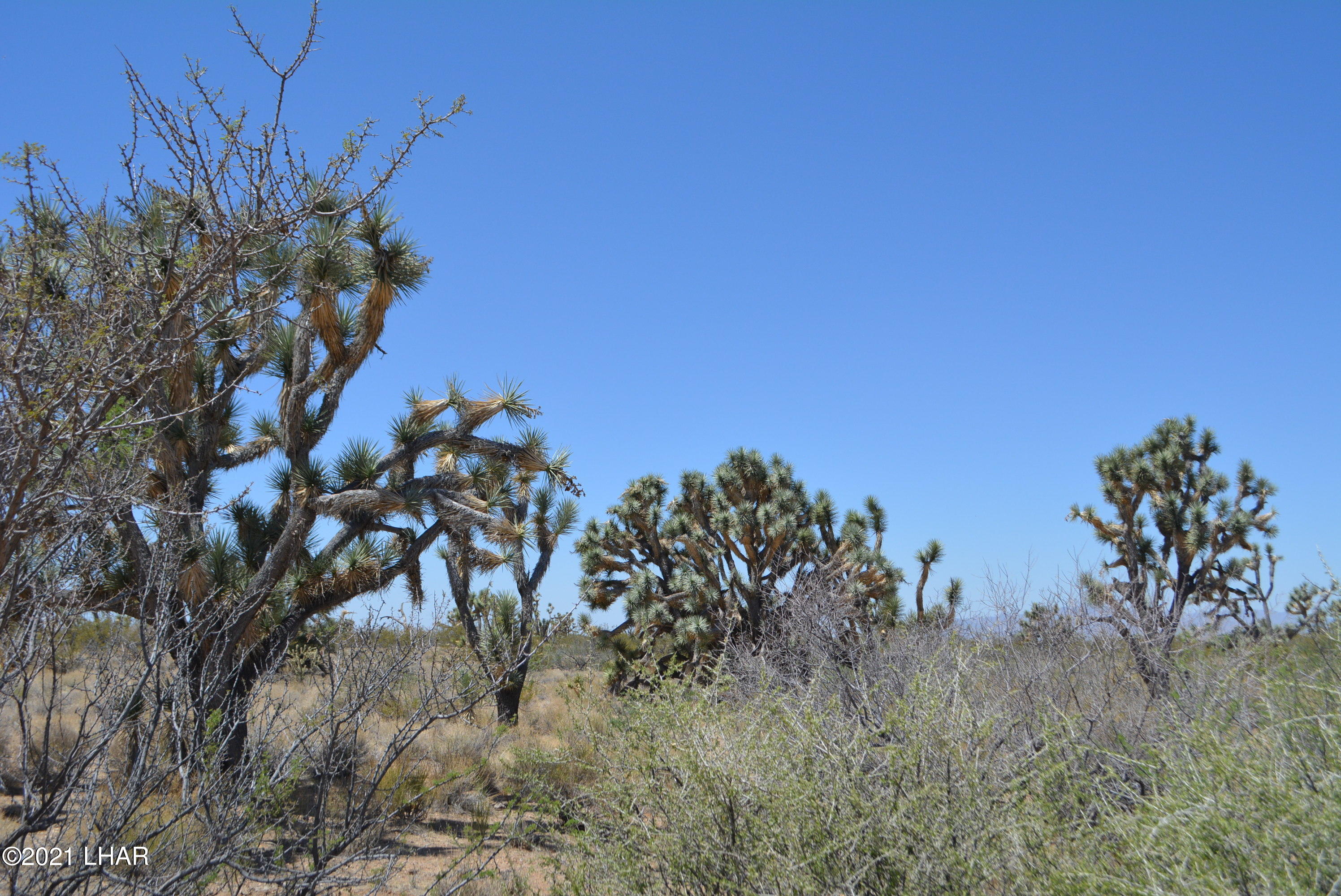 2089 South Roadrunner Road Yucca, AZ 86438 - Photo 32 of 60 DSC_0318