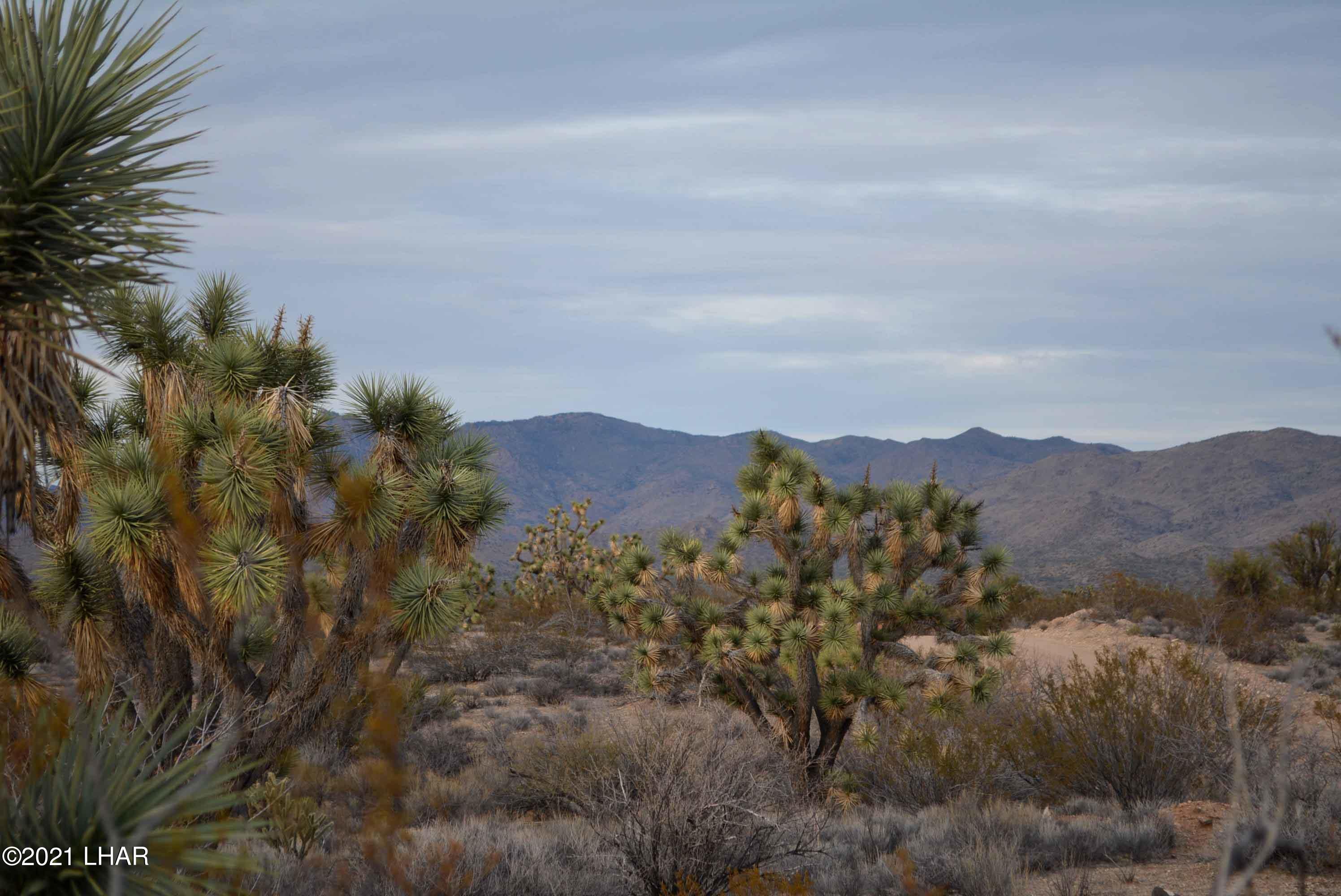 2089 South Roadrunner Road Yucca, AZ 86438 - Photo 33 of 60 DSC_0492