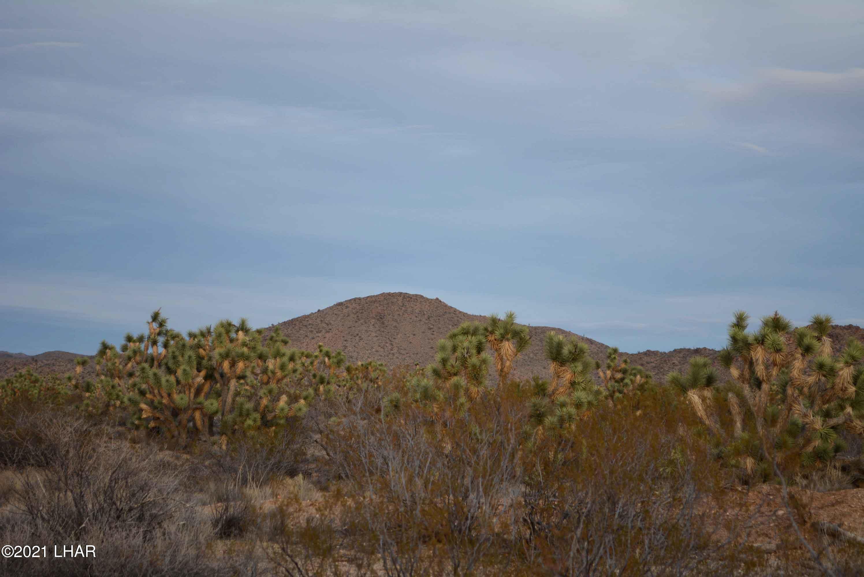 2089 South Roadrunner Road Yucca, AZ 86438 - Photo 35 of 60 DSC_0496