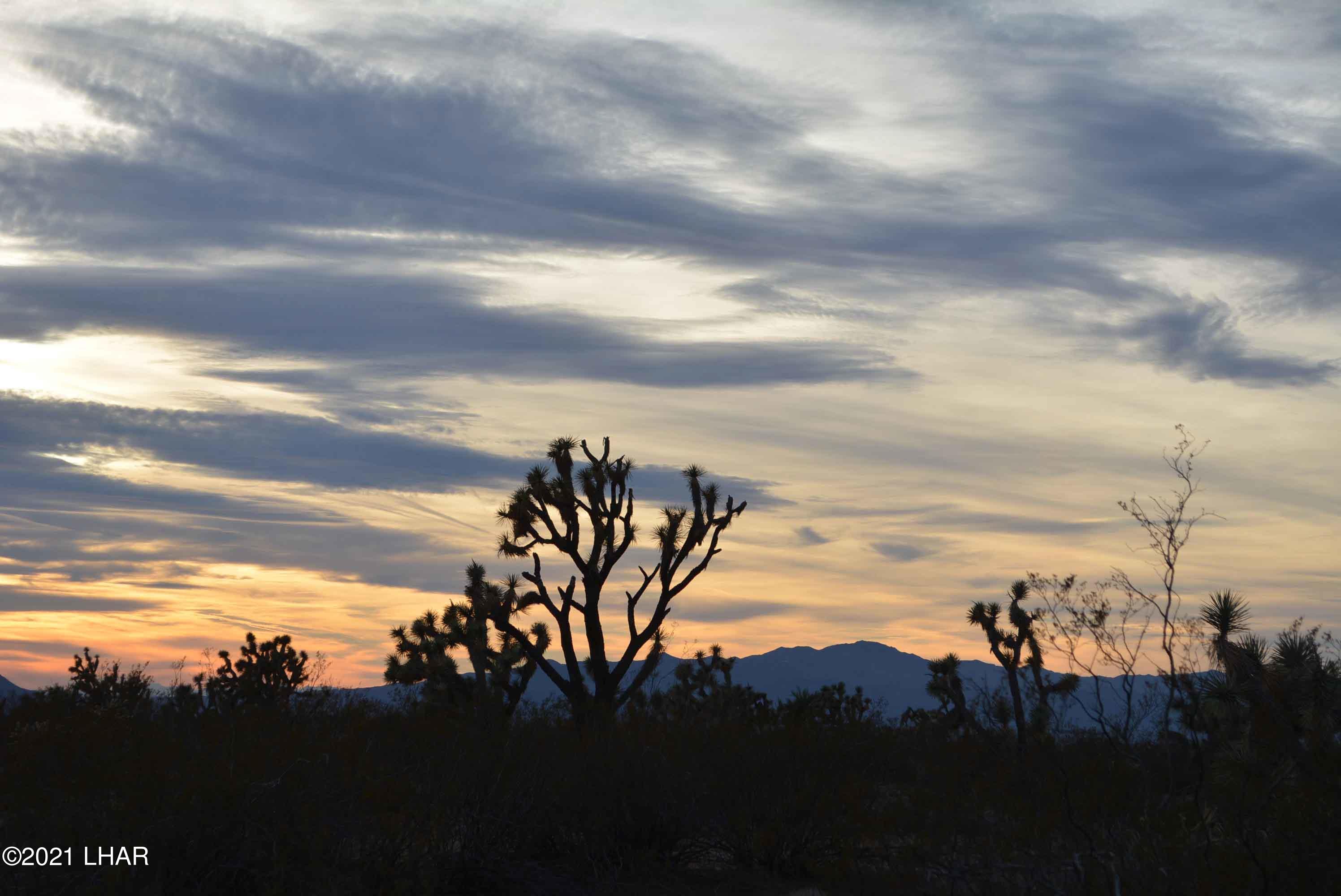 2089 South Roadrunner Road Yucca, AZ 86438 - Photo 36 of 60 DSC_0497