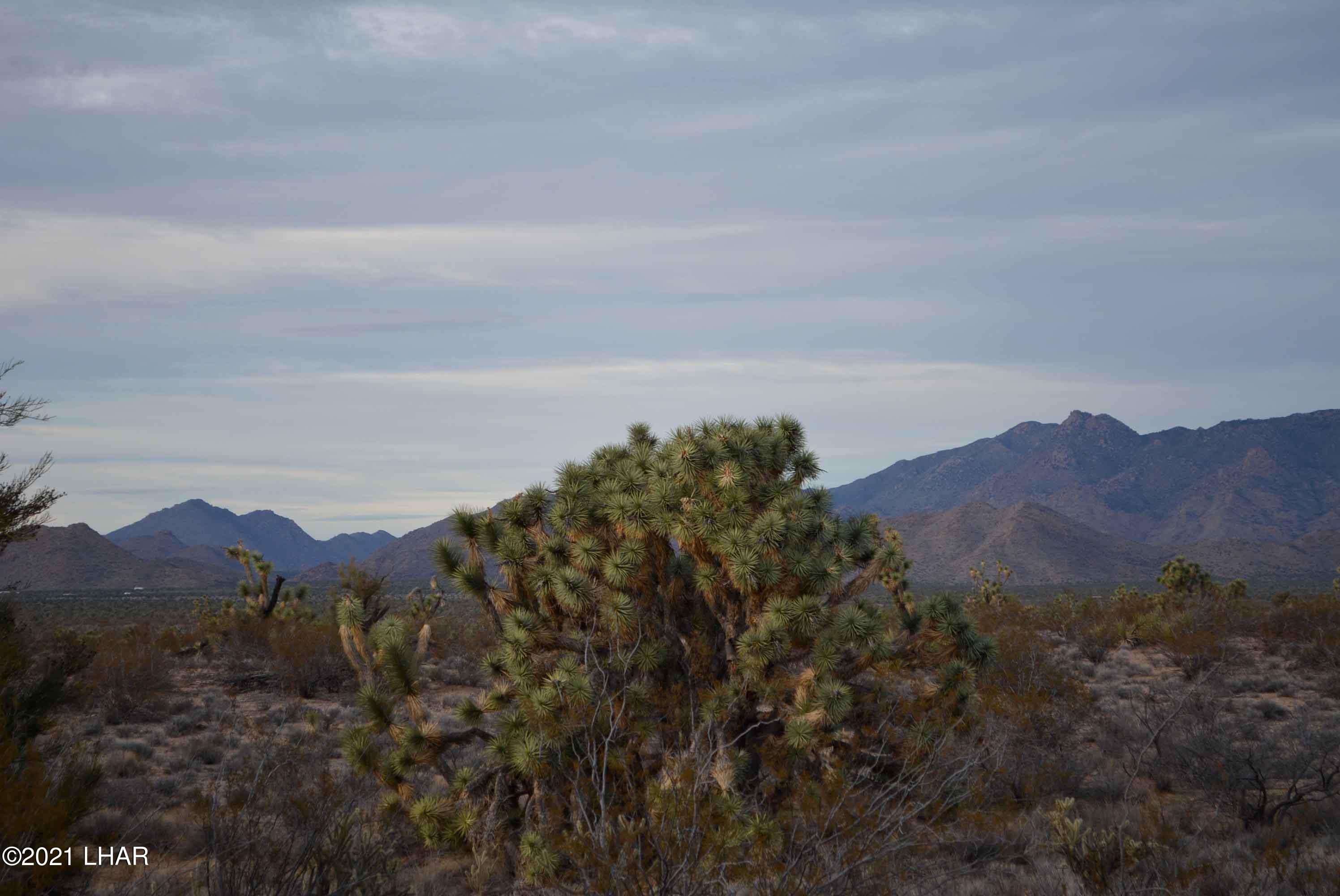 2089 South Roadrunner Road Yucca, AZ 86438 - Photo 38 of 60 DSC_0502