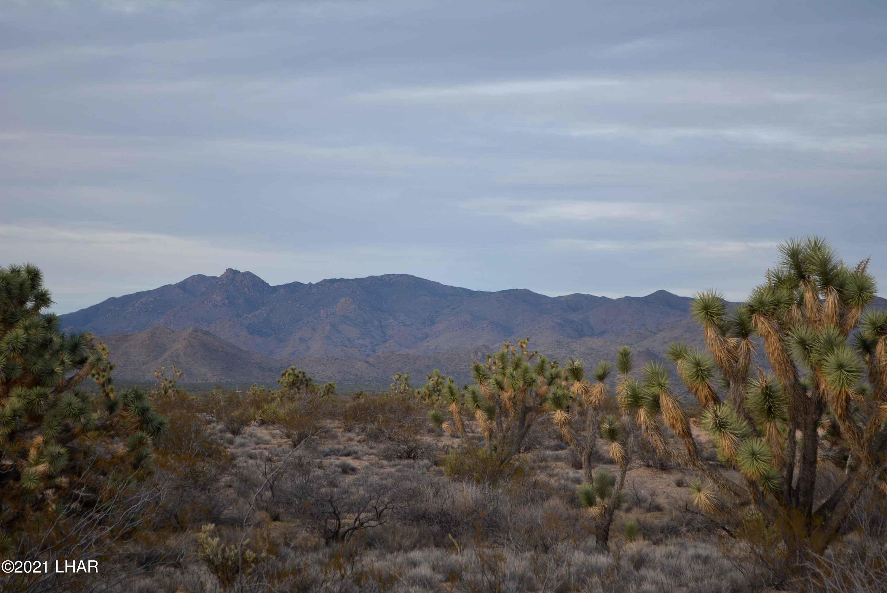 2089 South Roadrunner Road Yucca, AZ 86438 - Photo 39 of 60 DSC_0503