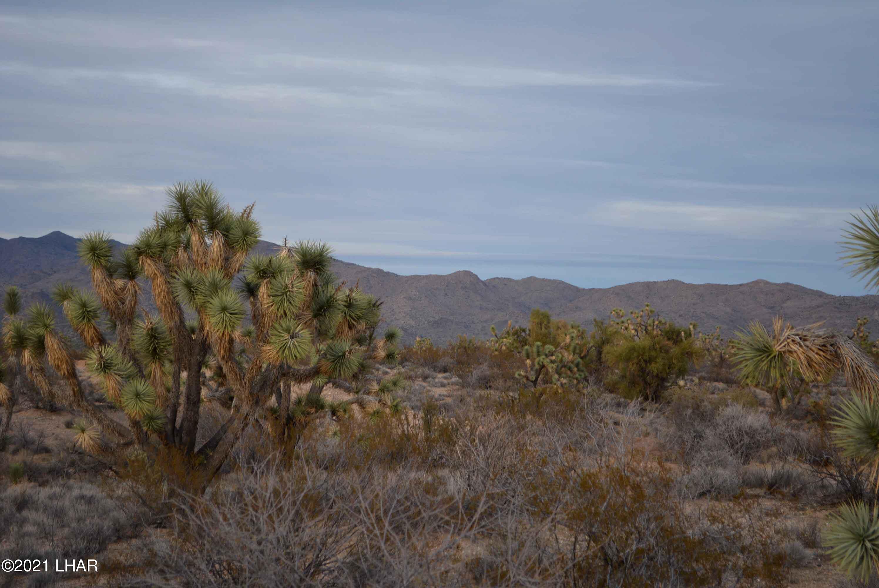 2089 South Roadrunner Road Yucca, AZ 86438 - Photo 40 of 60 DSC_0504