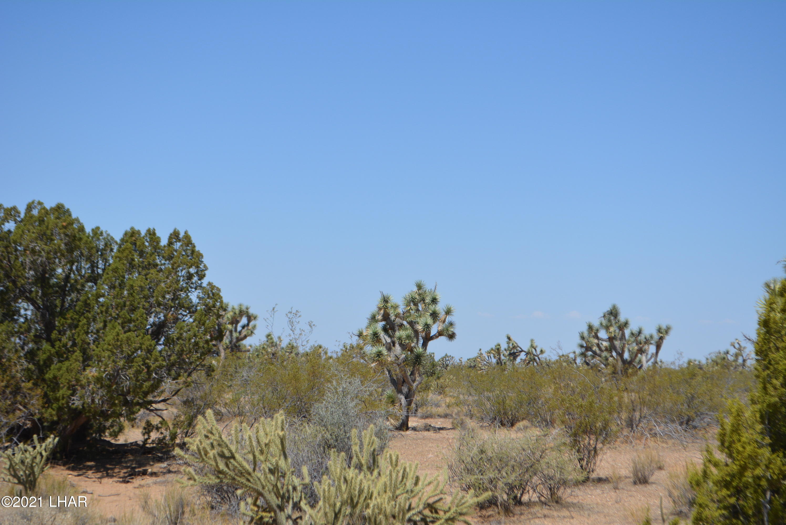 2089 South Roadrunner Road Yucca, AZ 86438 - Photo 4 of 60 DSC_0289