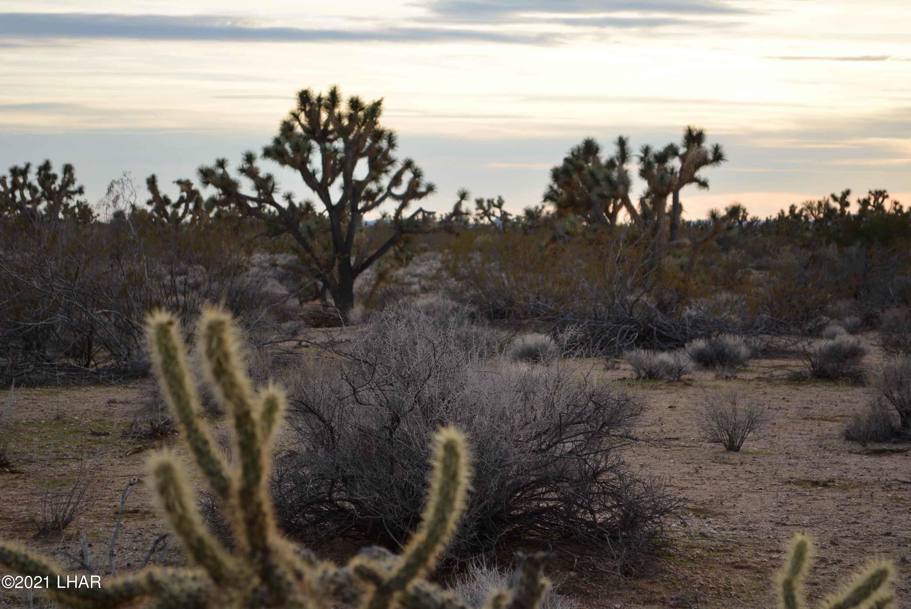 2089 South Roadrunner Road Yucca, AZ 86438 - Photo 42 of 60 DSC_0506