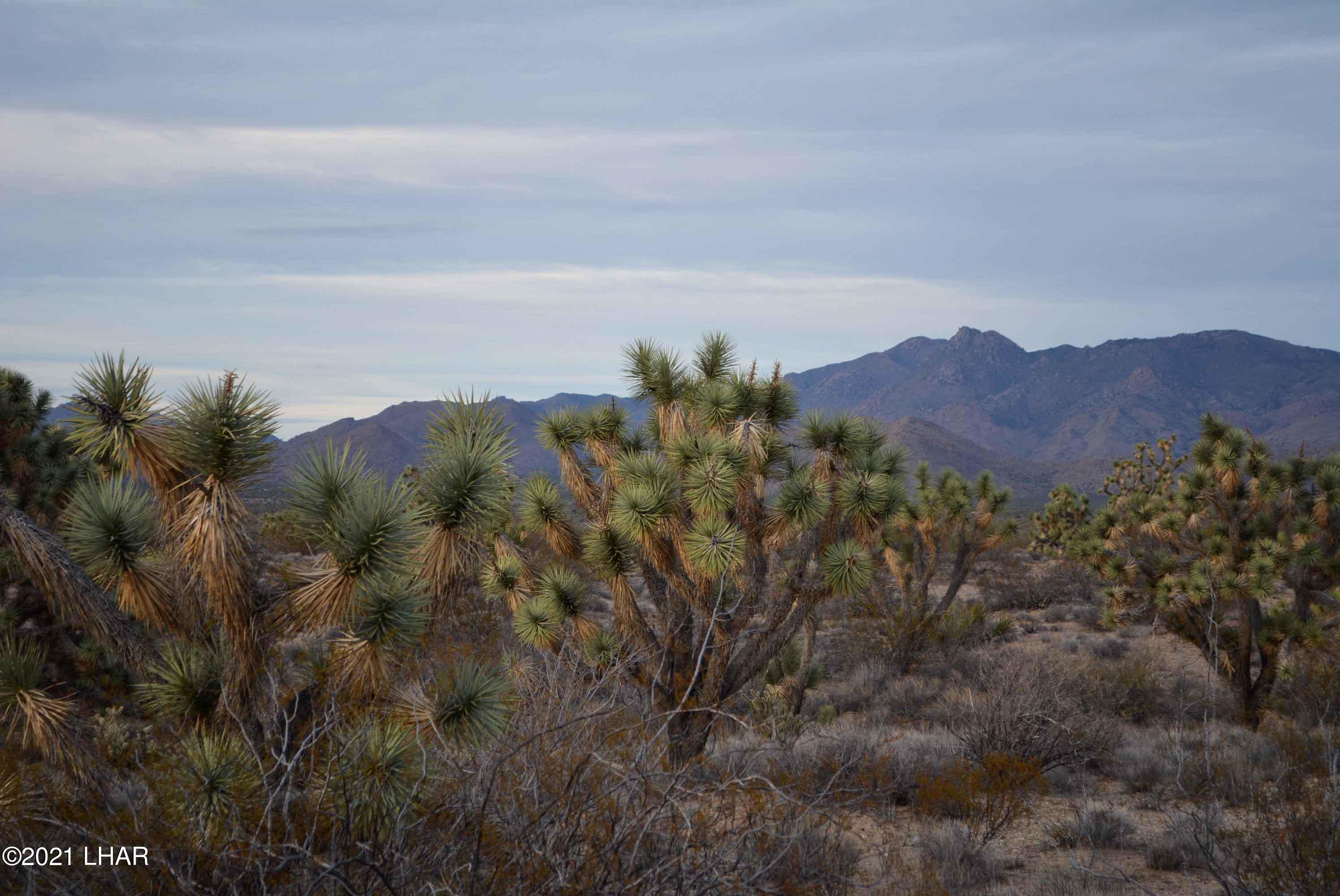 2089 South Roadrunner Road Yucca, AZ 86438 - Photo 43 of 60 DSC_0508