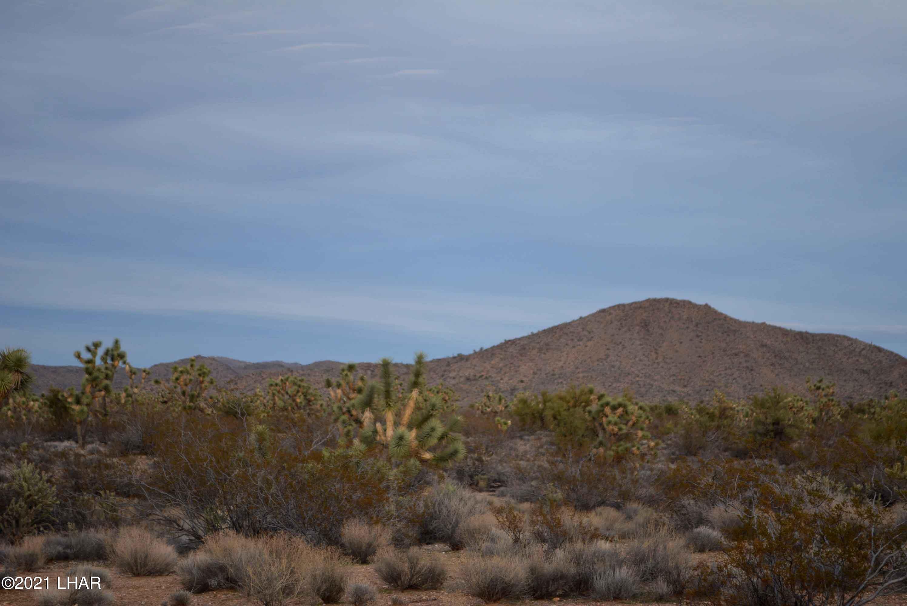 2089 South Roadrunner Road Yucca, AZ 86438 - Photo 44 of 60 DSC_0509