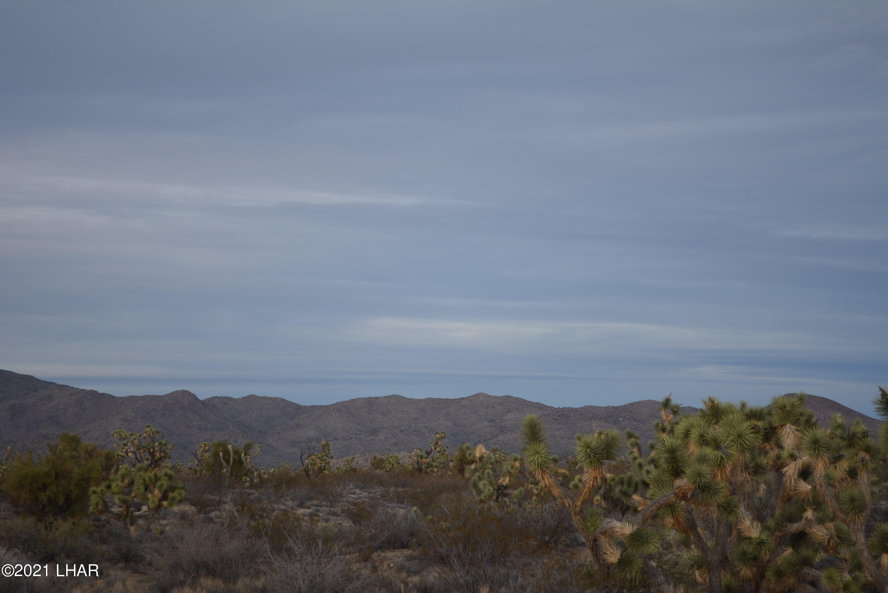 2089 South Roadrunner Road Yucca, AZ 86438 - Photo 45 of 60 DSC_0510