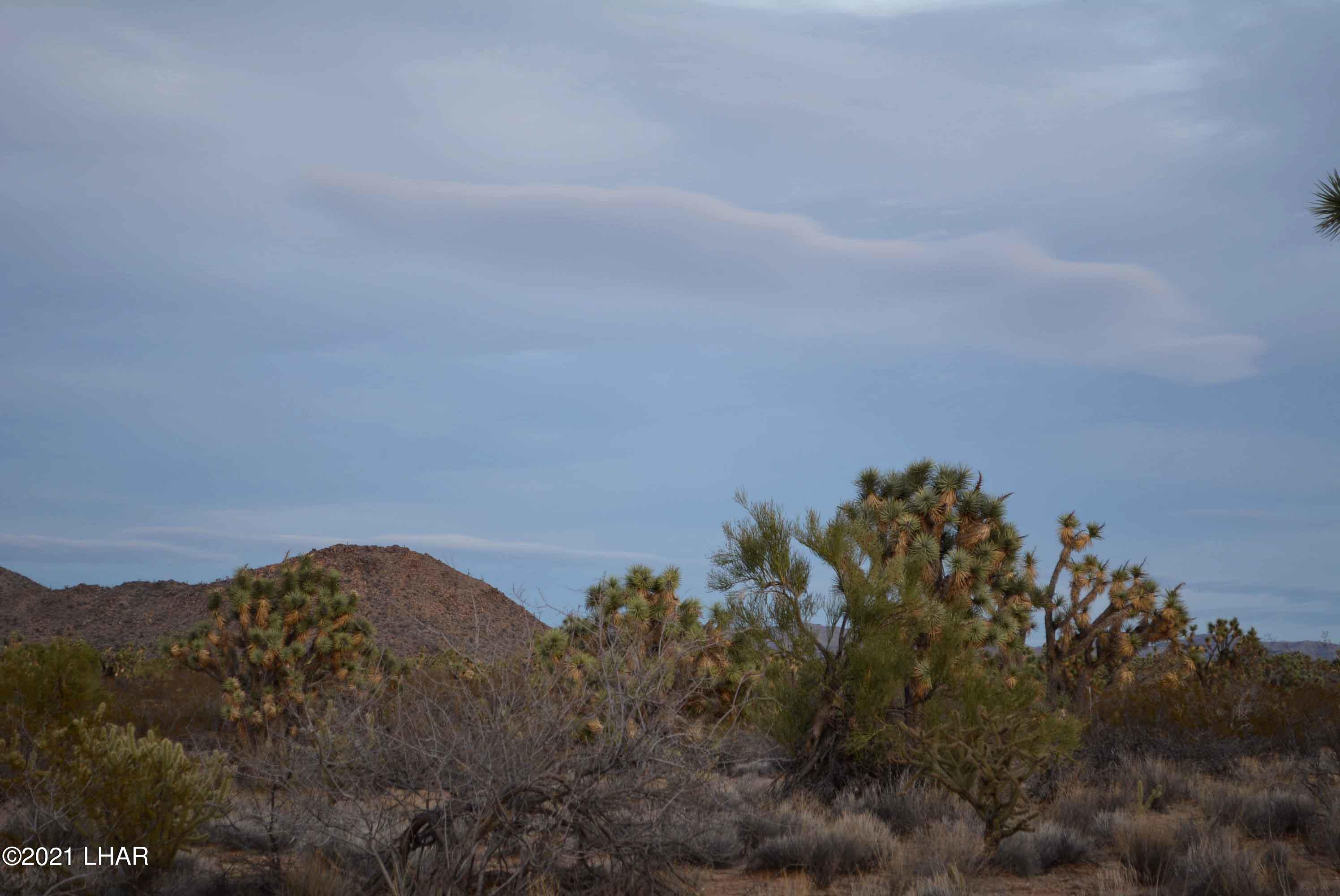 2089 South Roadrunner Road Yucca, AZ 86438 - Photo 46 of 60 DSC_0511