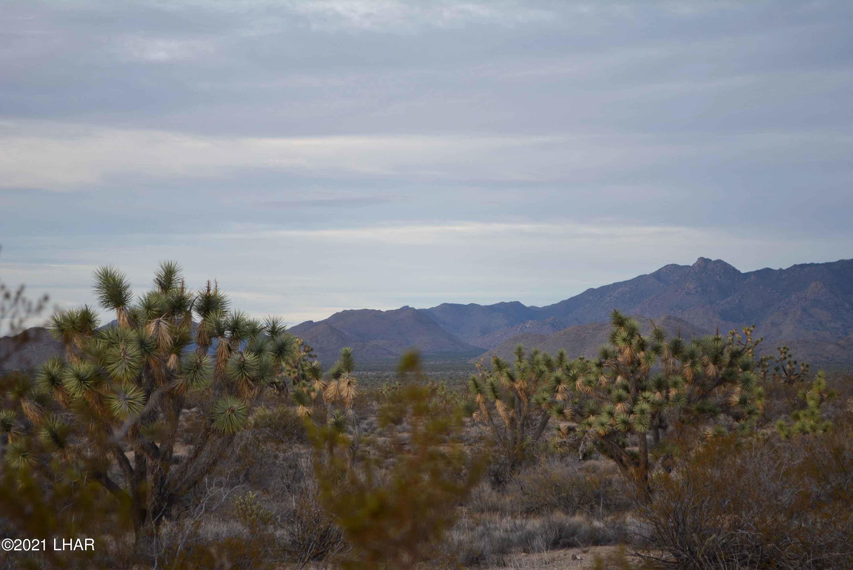 2089 South Roadrunner Road Yucca, AZ 86438 - Photo 47 of 60 DSC_0512
