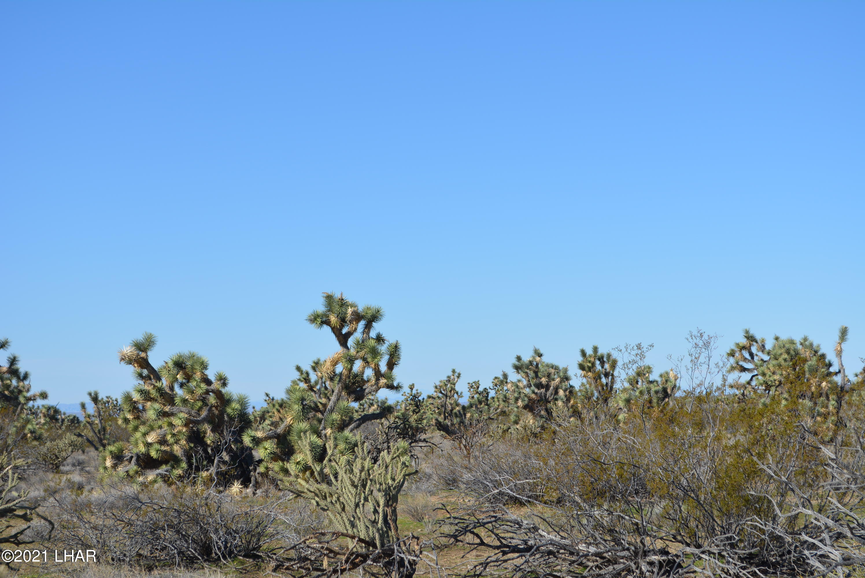 2089 South Roadrunner Road Yucca, AZ 86438 - Photo 48 of 60 DSC_0562