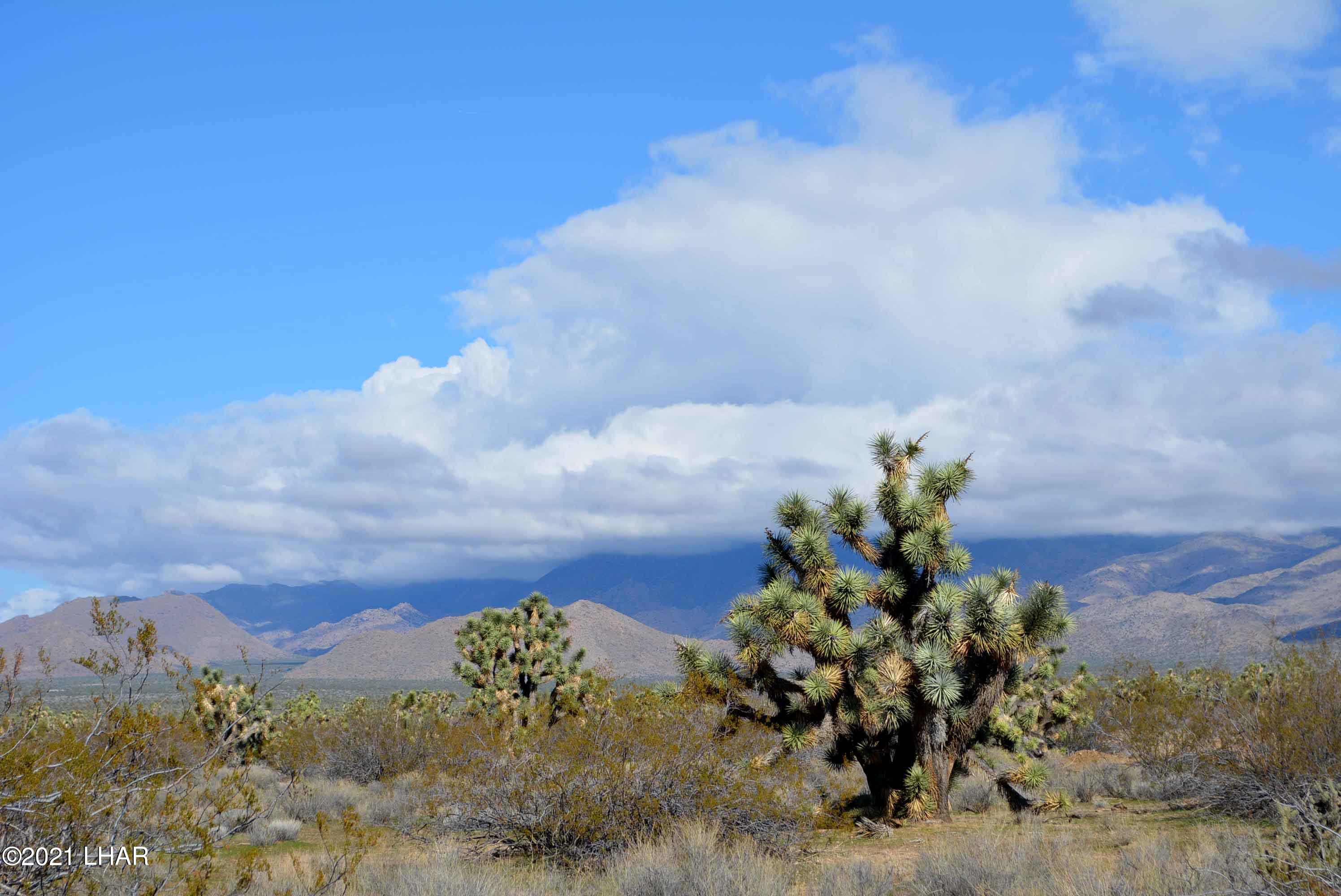 2089 South Roadrunner Road Yucca, AZ 86438 - Photo 51 of 60 DSC_0565
