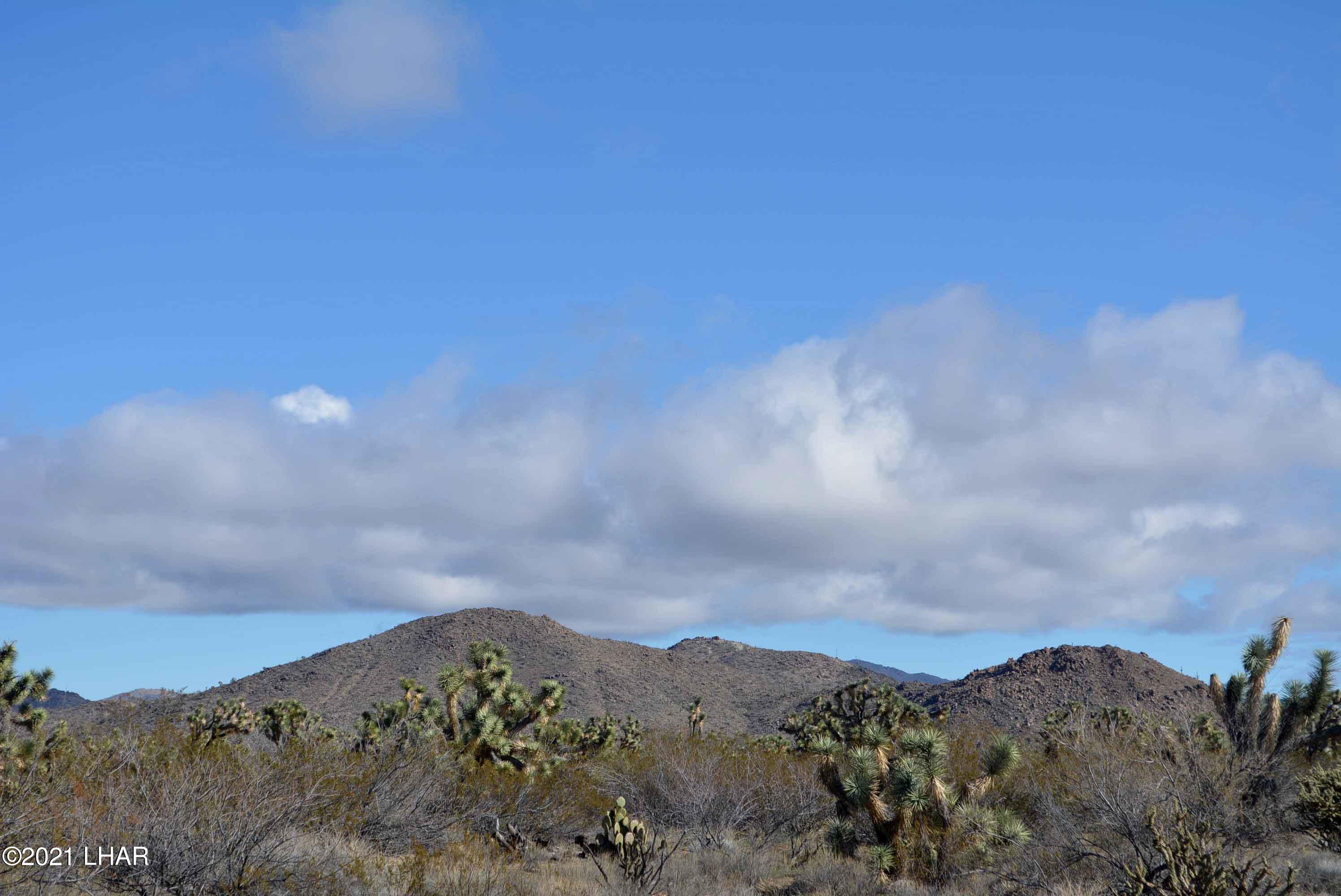2089 South Roadrunner Road Yucca, AZ 86438 - Photo 52 of 60 DSC_0566