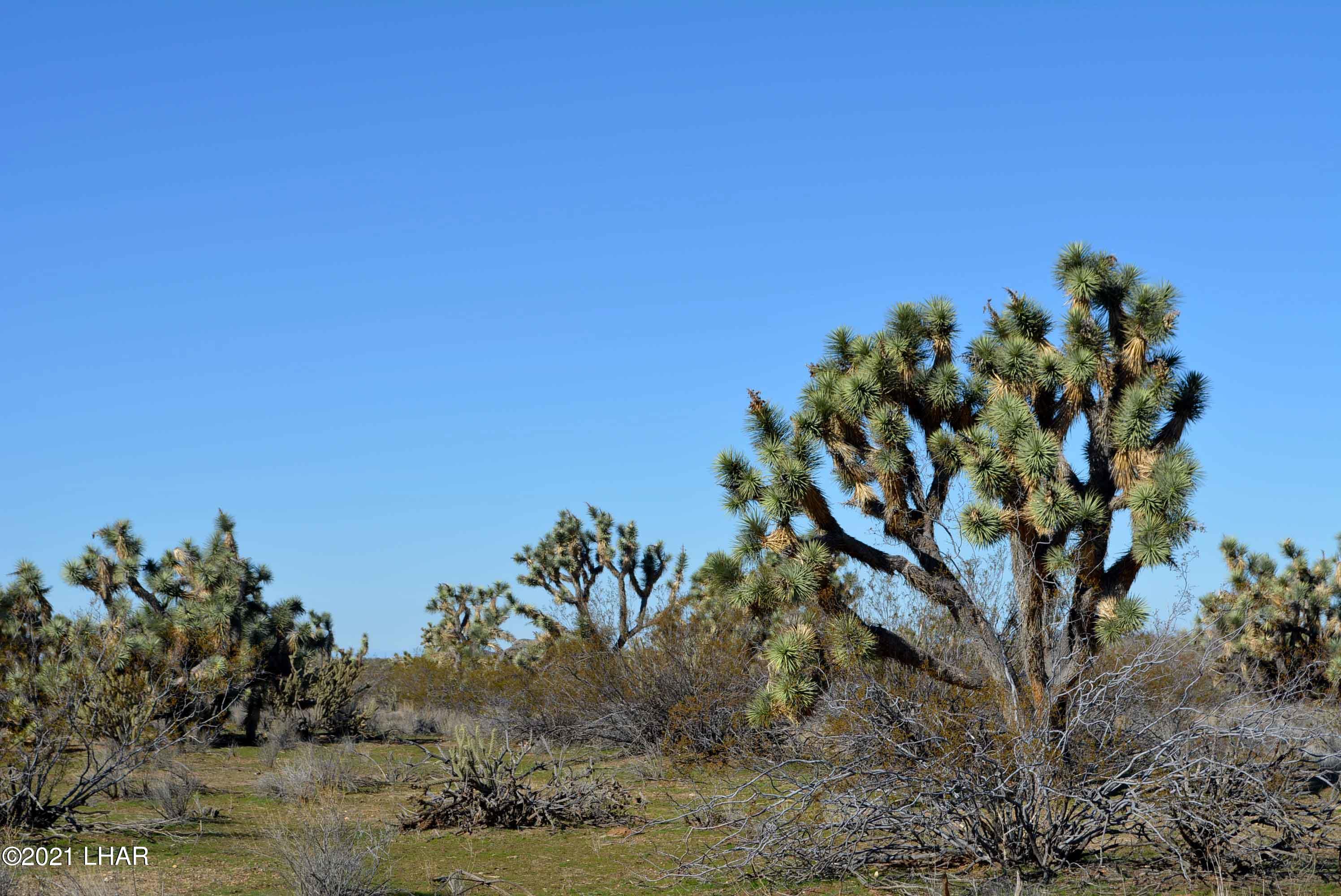 2089 South Roadrunner Road Yucca, AZ 86438 - Photo 54 of 60 DSC_0568