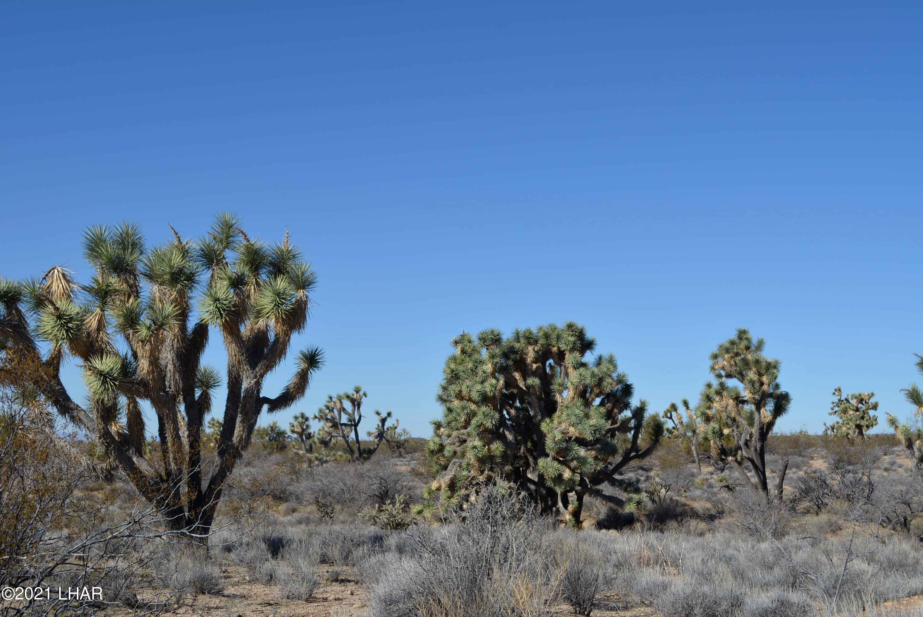 2089 South Roadrunner Road Yucca, AZ 86438 - Photo 56 of 60 DSC_0571