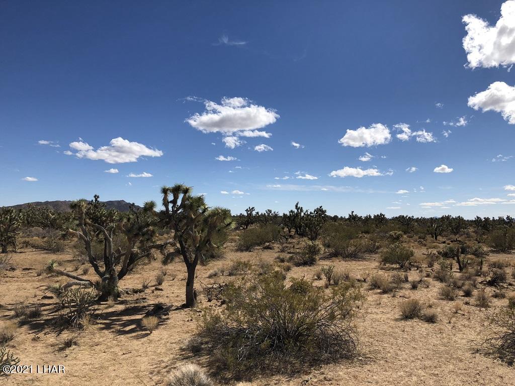 2089 South Roadrunner Road Yucca, AZ 86438 - Photo 59 of 60 IMG_0432 sm
