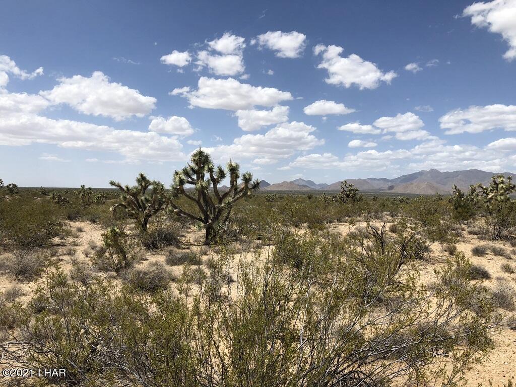 2089 South Roadrunner Road Yucca, AZ 86438 - Photo 60 of 60 IMG_0607 sm