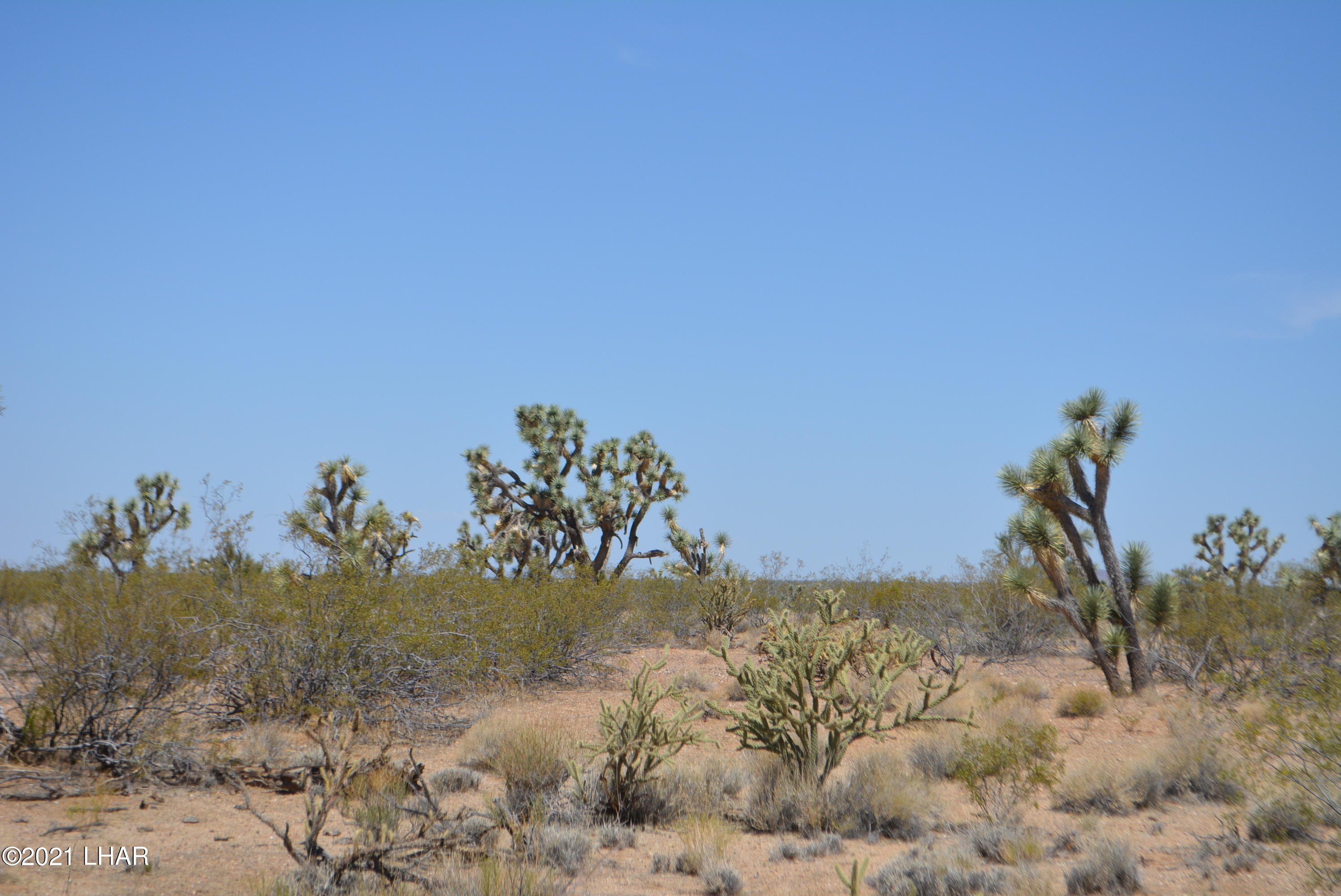 2089 South Roadrunner Road Yucca, AZ 86438 - Photo 6 of 60 DSC_0291