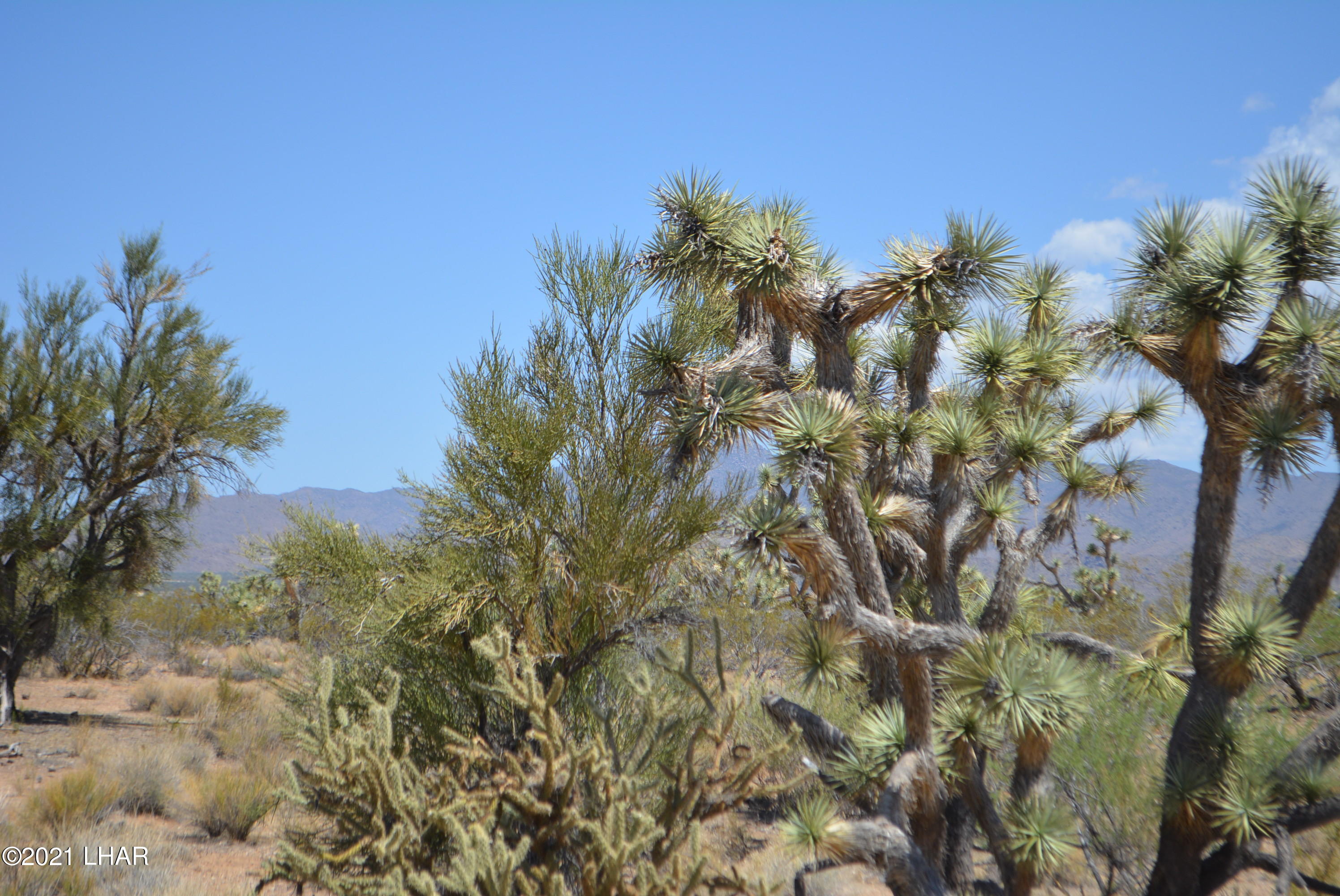 2089 South Roadrunner Road Yucca, AZ 86438 - Photo 9 of 60 DSC_0294