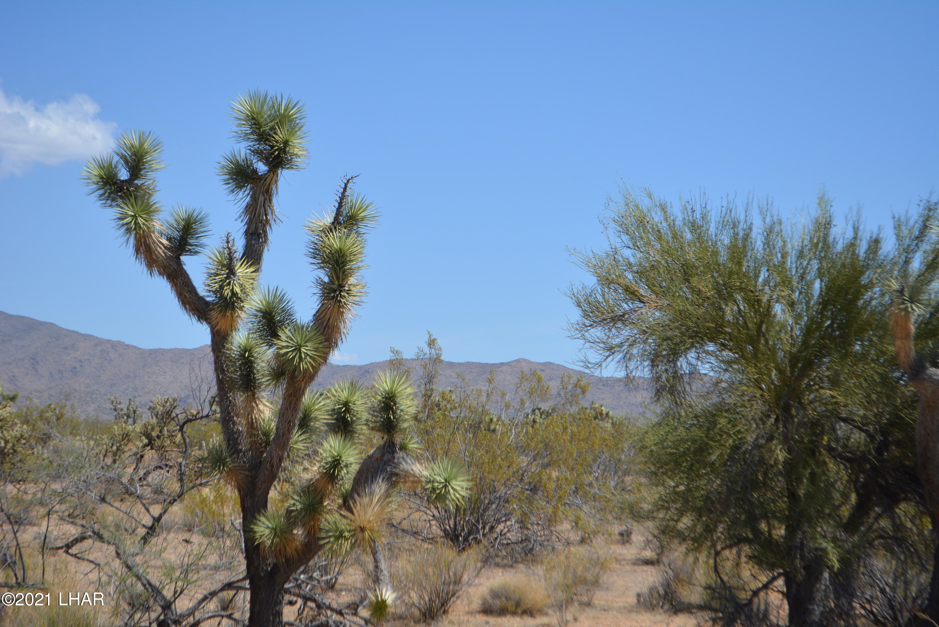 2089 South Roadrunner Road Yucca, AZ 86438 - Photo 10 of 60 DSC_0296