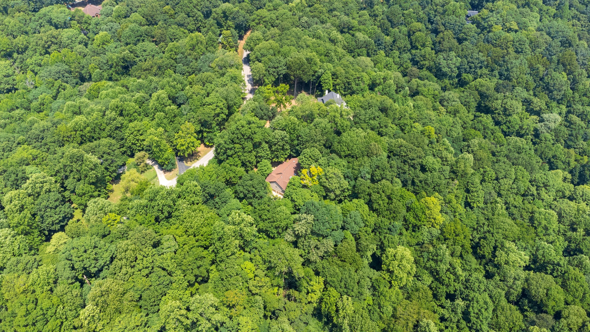 3000 Jubilee Ridge Road Franklin, TN 37069 - Photo 54 of 55 a close up of a lush green forest