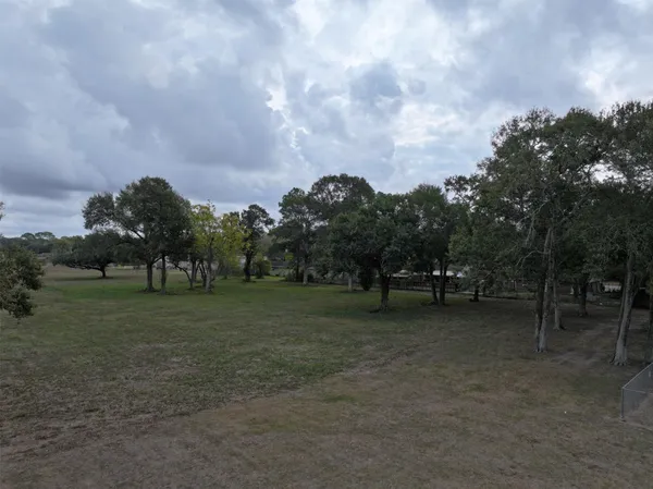 a view of a trees in a yard