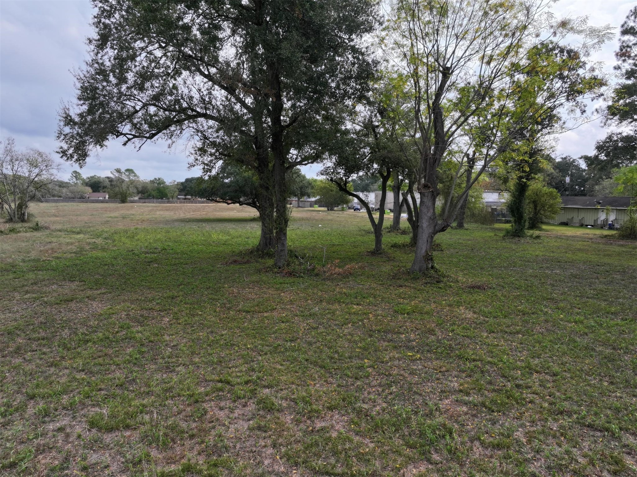 2417 4th Street Rosenberg, TX 77471 - Photo 17 of 50 a view of backyard with green space