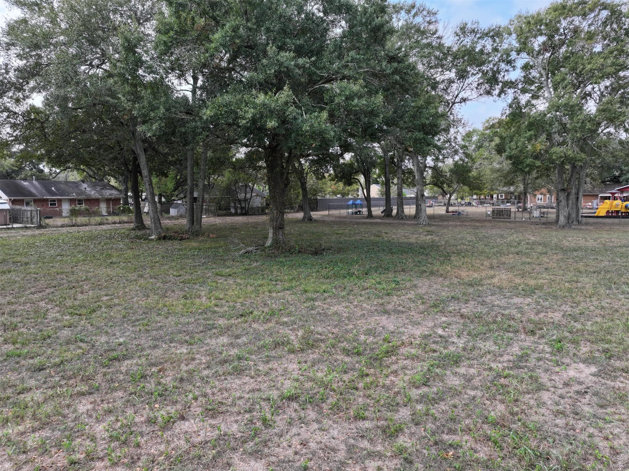 2417 4th Street Rosenberg, TX 77471 - Photo 18 of 50 a view of a trees in a yard