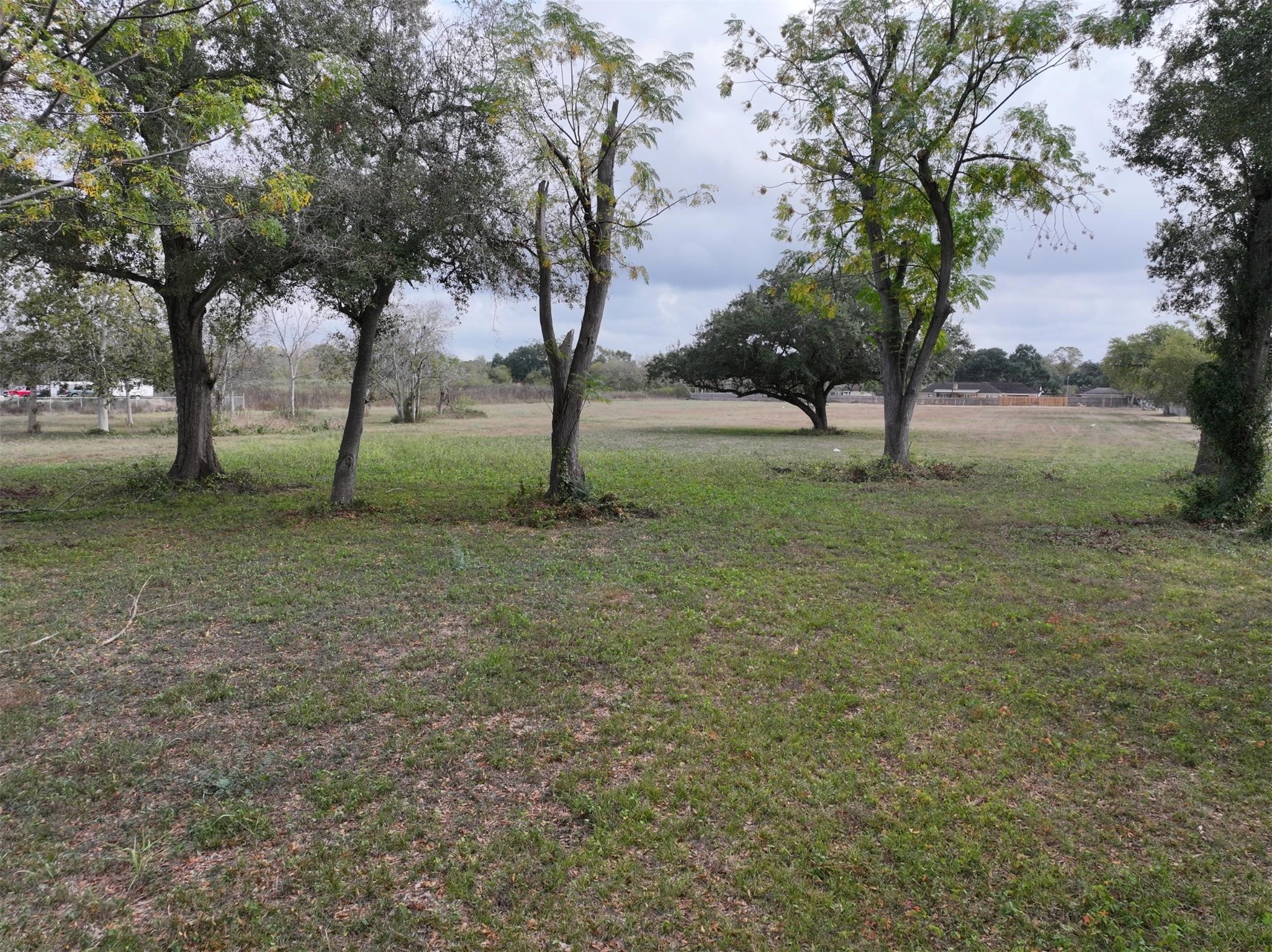 2417 4th Street Rosenberg, TX 77471 - Photo 22 of 50 a view of a tree in the middle of a yard