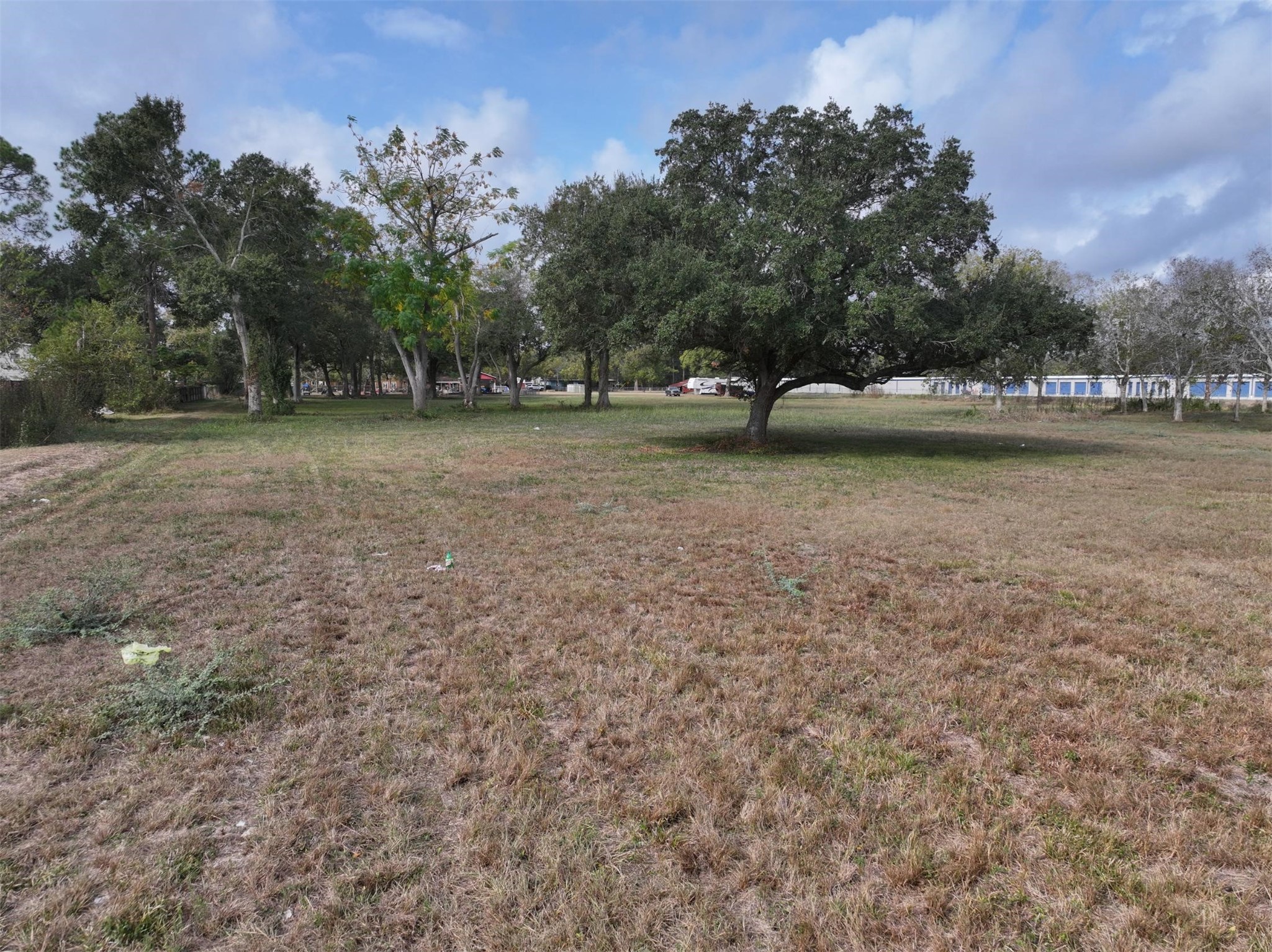 2417 4th Street Rosenberg, TX 77471 - Photo 26 of 50 a view of outdoor space with deck and trees
