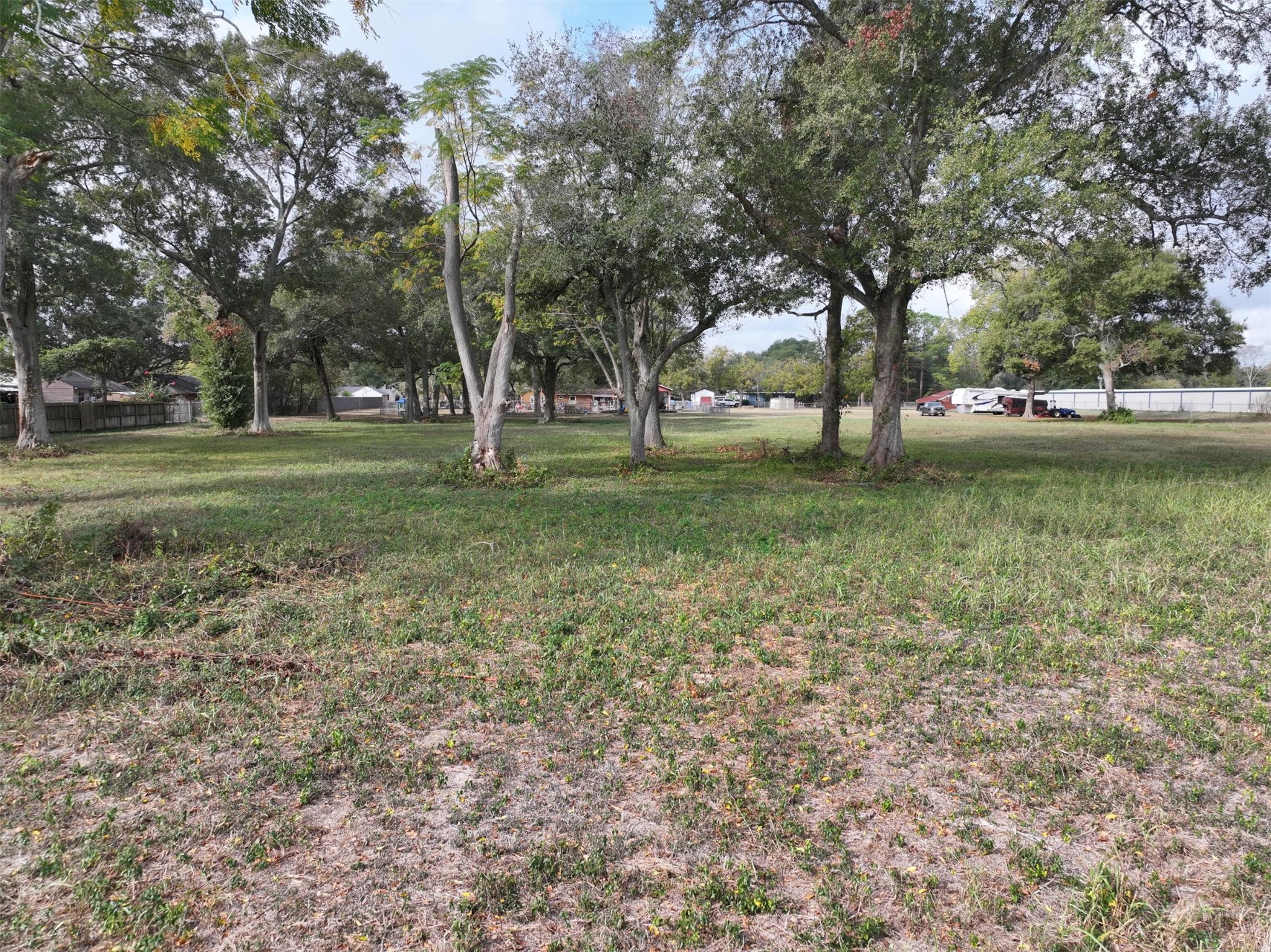 2417 4th Street Rosenberg, TX 77471 - Photo 32 of 50 a view of a trees in a yard