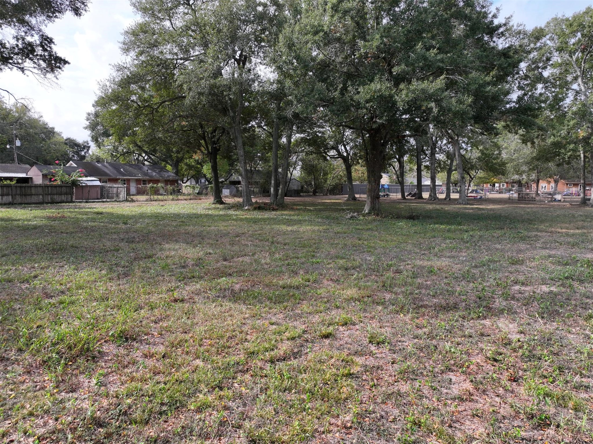 2417 4th Street Rosenberg, TX 77471 - Photo 38 of 50 a view of a tree in a yard
