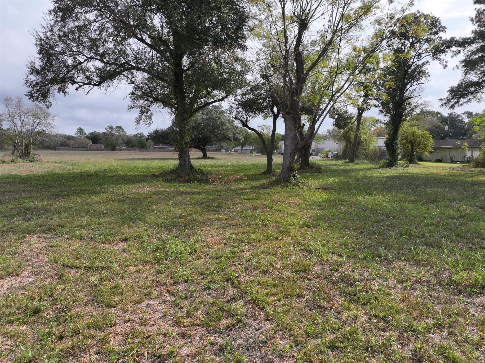 2417 4th Street Rosenberg, TX 77471 - Photo 40 of 50 a view of outdoor space with trees all around