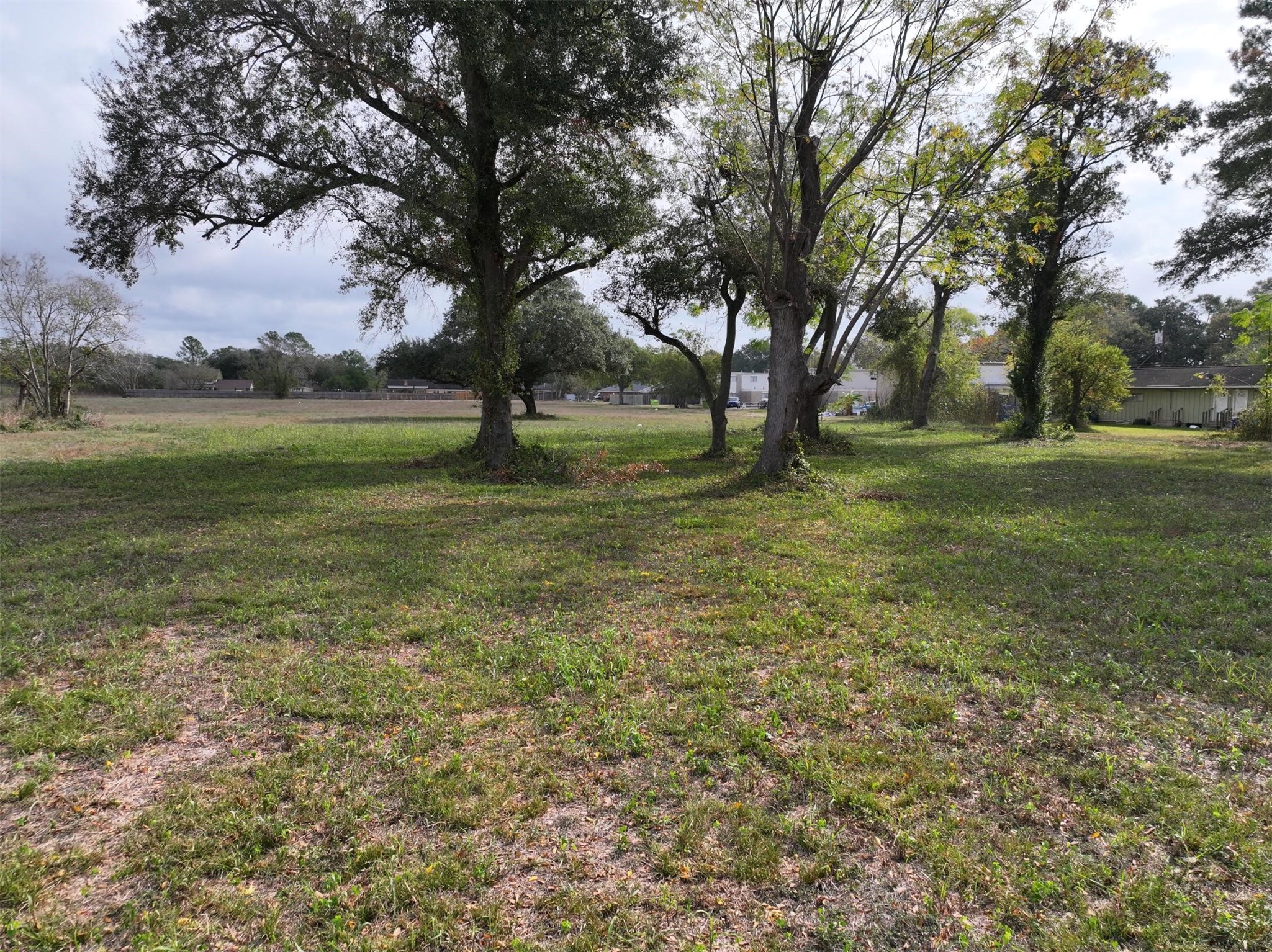 2417 4th Street Rosenberg, TX 77471 - Photo 41 of 50 a view of outdoor space with trees all around