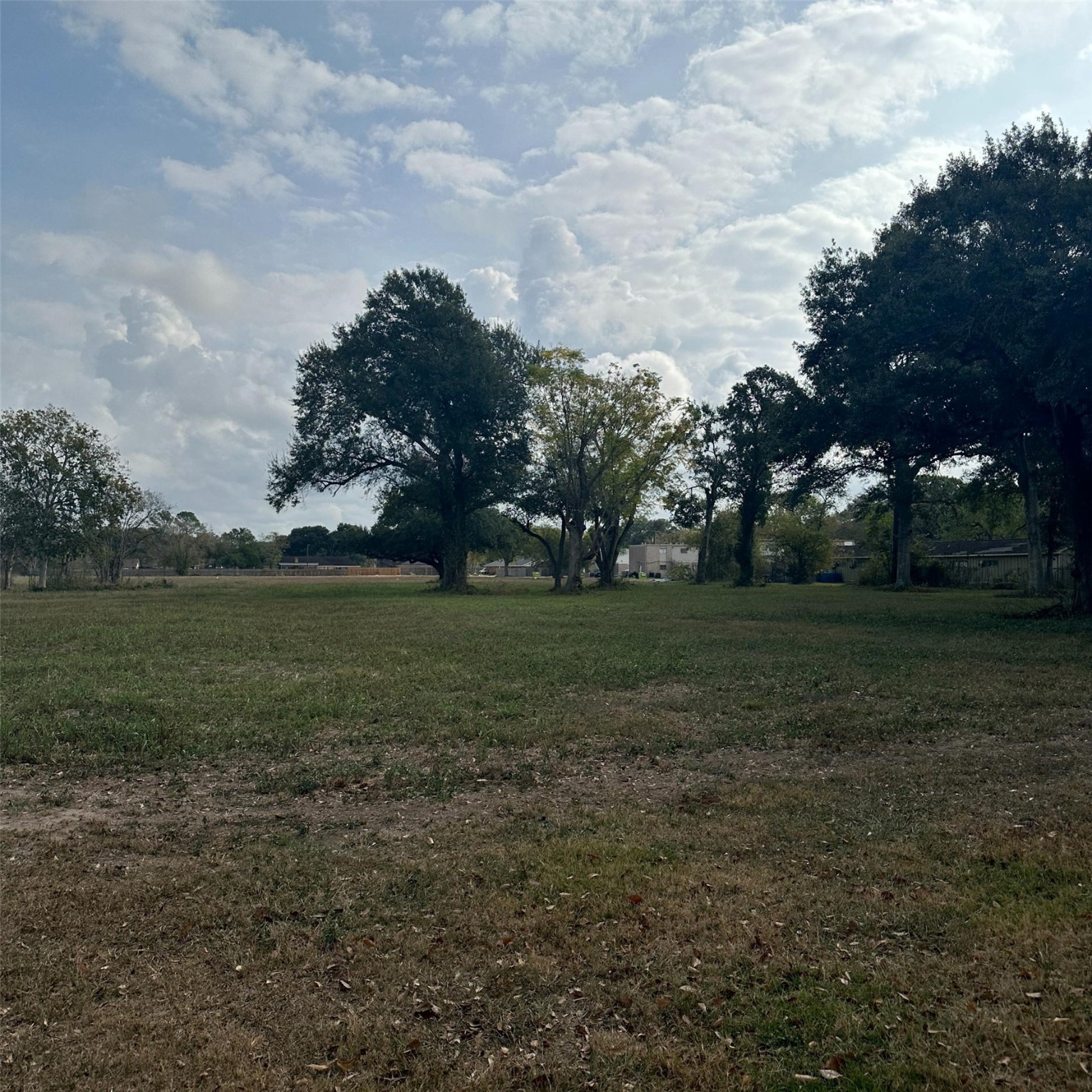 2417 4th Street Rosenberg, TX 77471 - Photo 46 of 50 a view of a field of grass and trees