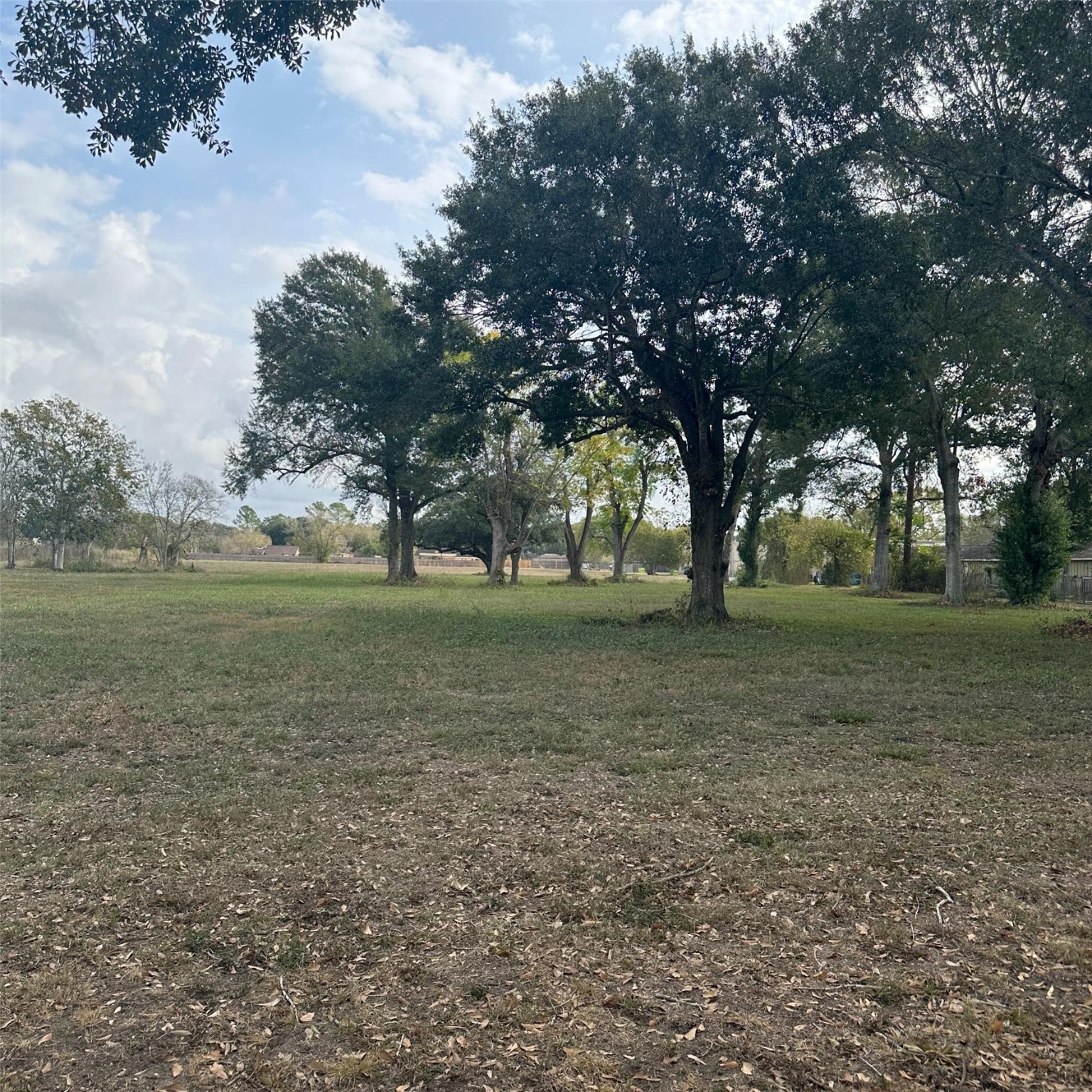 2417 4th Street Rosenberg, TX 77471 - Photo 47 of 50 a view of outdoor space with green field and trees