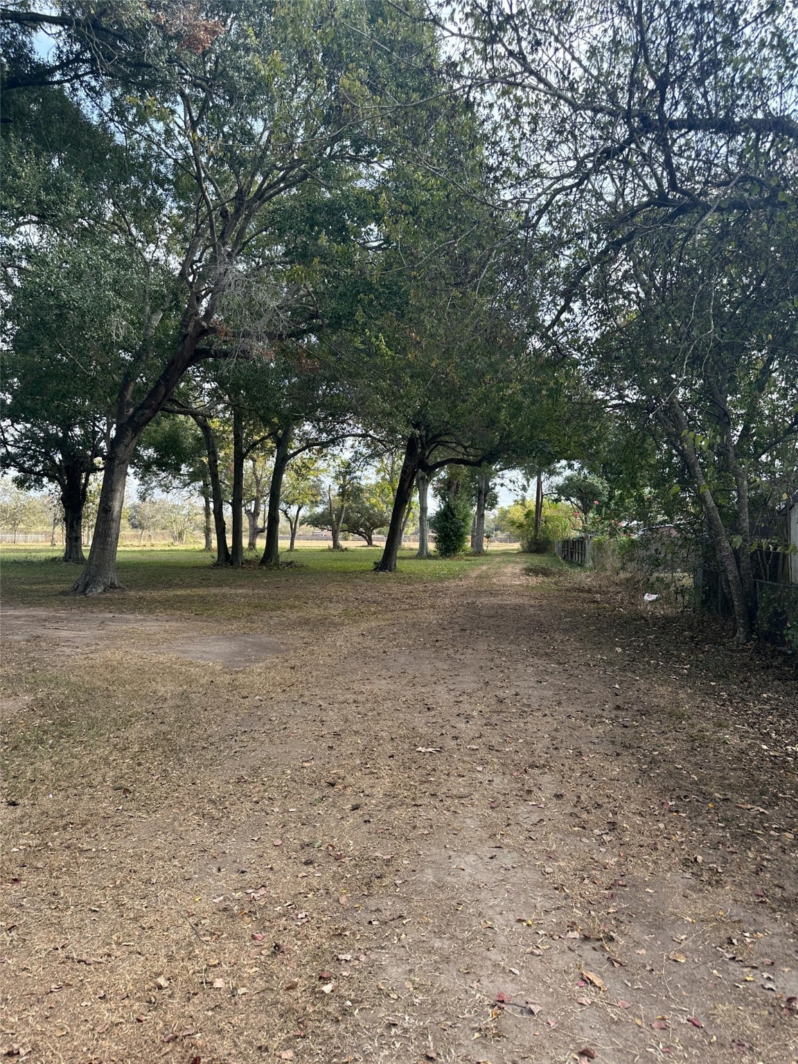2417 4th Street Rosenberg, TX 77471 - Photo 50 of 50 a view of outdoor space with trees