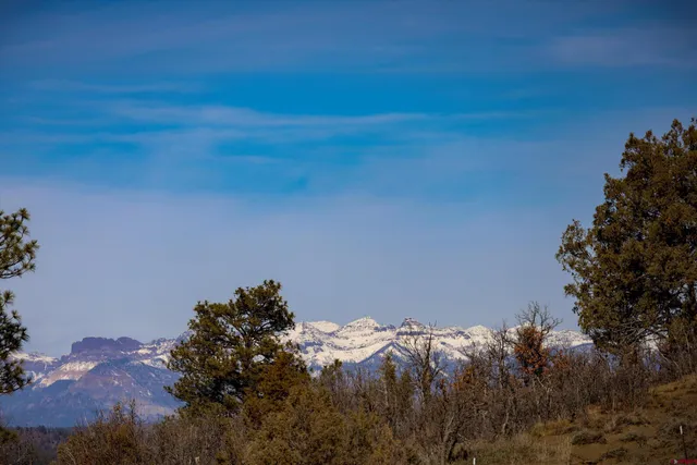 $685,000 | 1594 Meadows Drive, Pagosa Springs, CO 81147