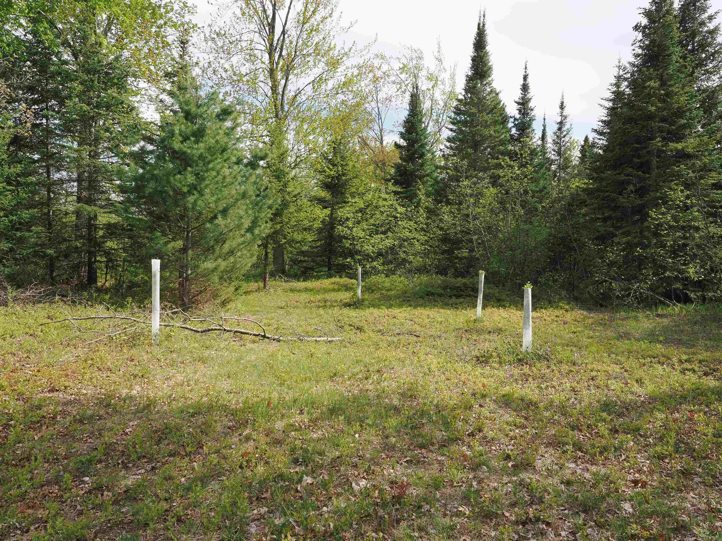 4011 Sandall Road Alpena, MI 49707 - Photo 40 of 73