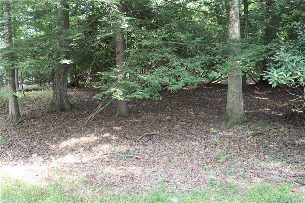 1700 Old Linn Run Road Rector, PA 15677 - Photo 2 of 34 Gallery Image 2