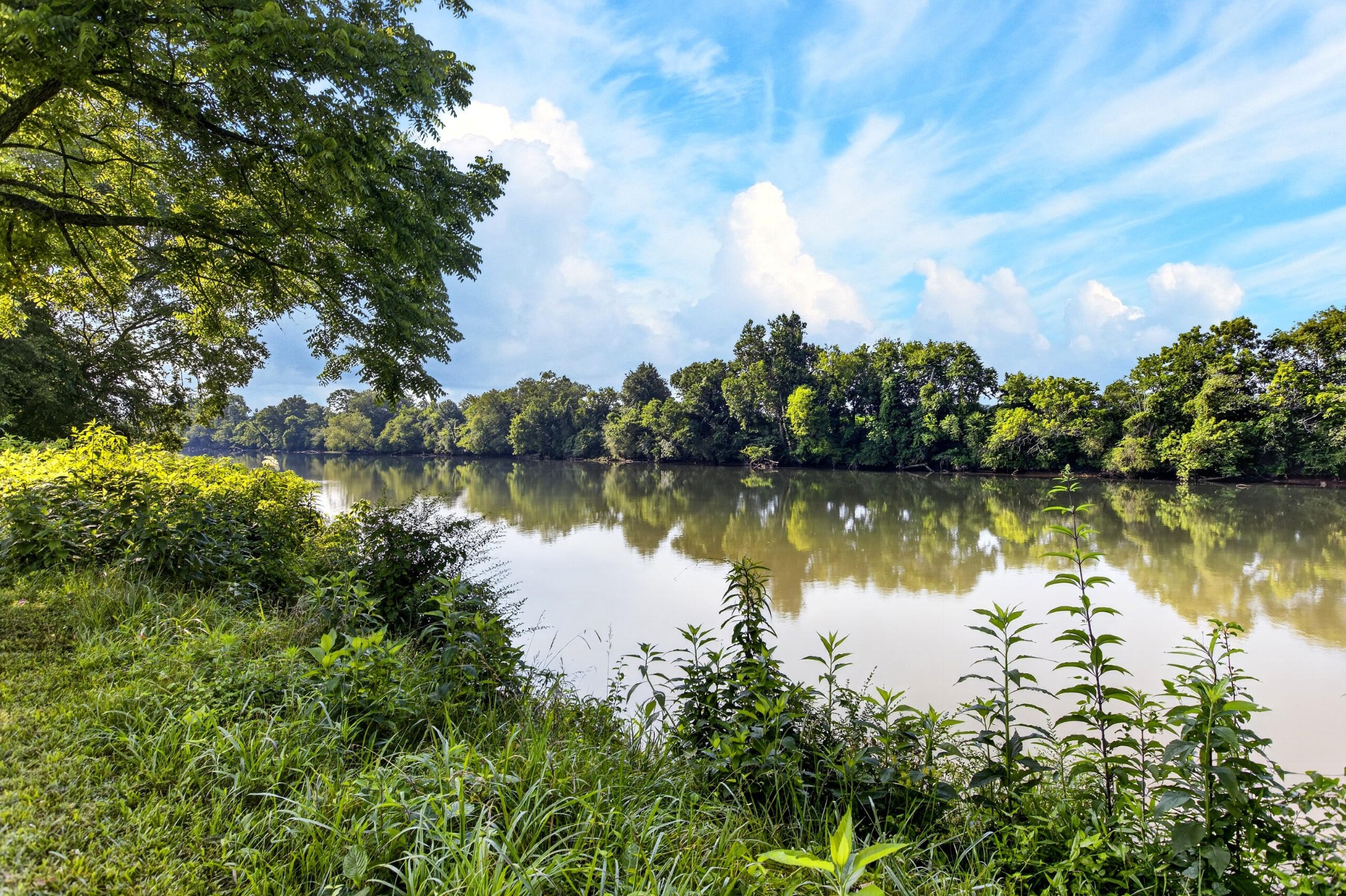 759 Pinhook Road Calhoun, TN 37309 - Photo 57 of 70 a view of a lake with houses in the back