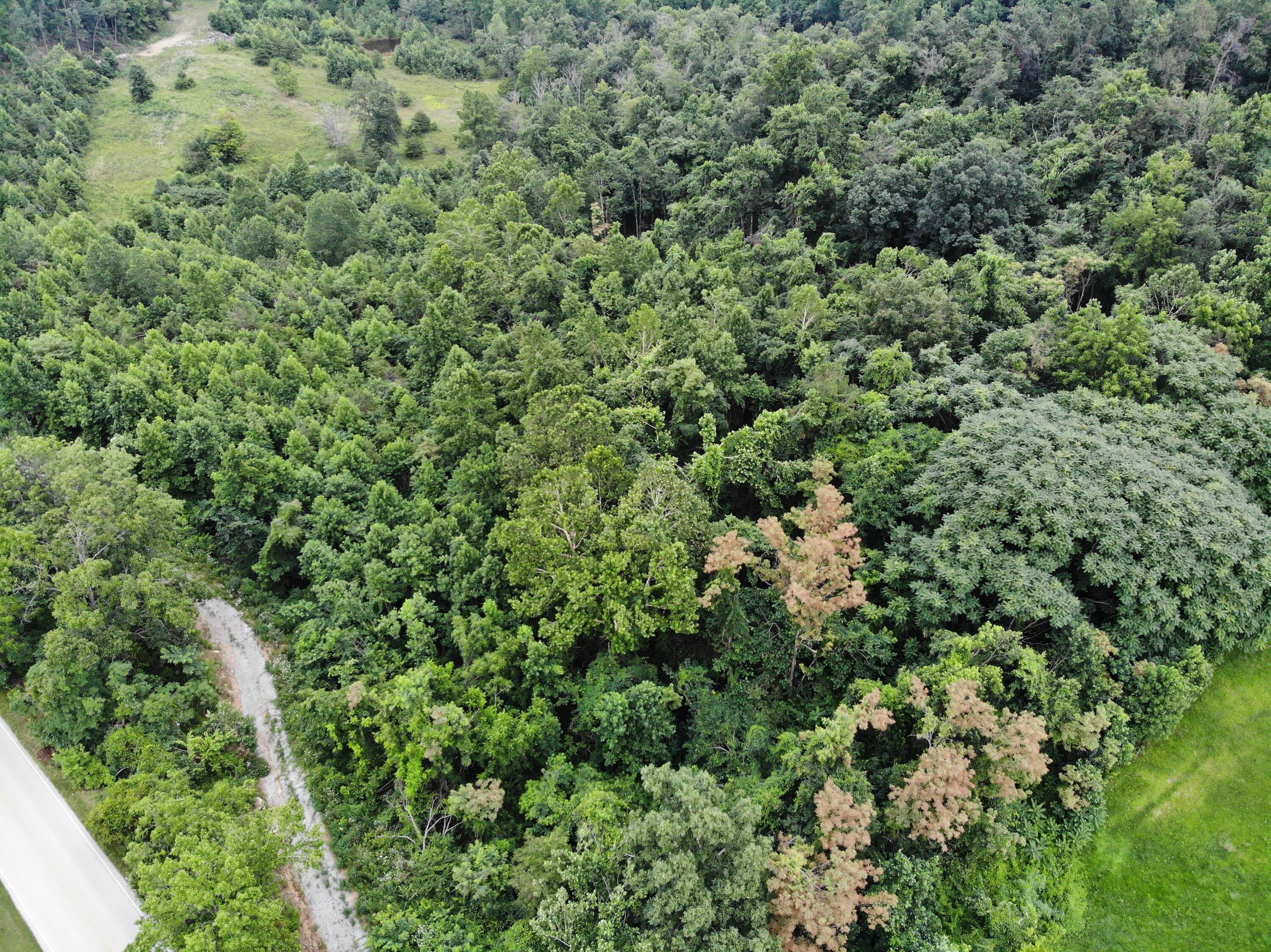 9015 McKee Road Irvine, KY 40336 - Photo 31 of 33 DJI_0972
