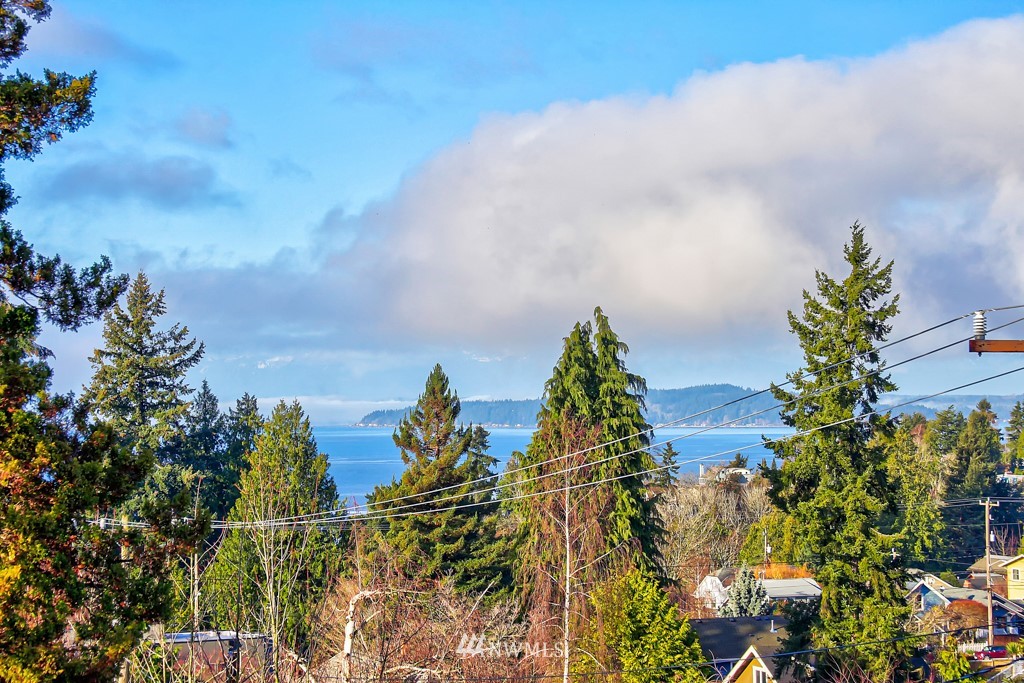 4315 Southwest Frontenac Street, Unit B Seattle, WA 98136 - Photo 18 of 21 Gallery Image 18