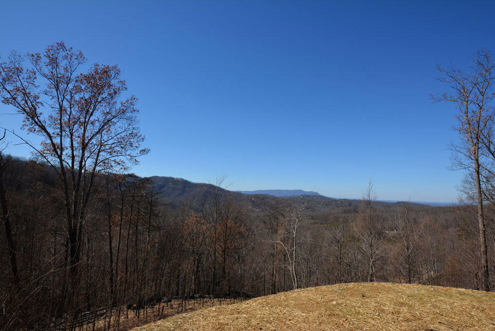 1050 East Kings Ridge Road Gatlinburg, TN 37738 - Photo 3 of 10 C