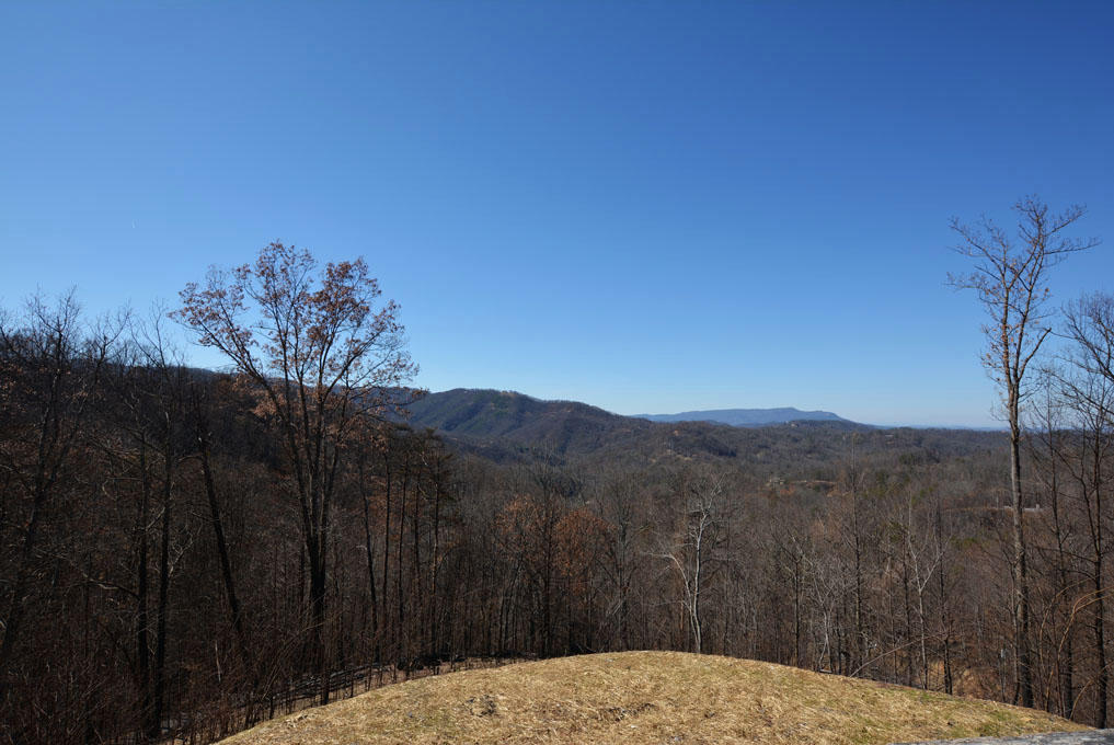 1050 East Kings Ridge Road Gatlinburg, TN 37738 - Photo 8 of 10 H