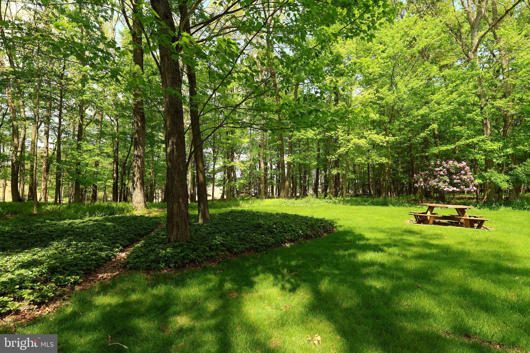 34 Brown Circle Port Matilda, PA 16870 - Photo 45 of 50